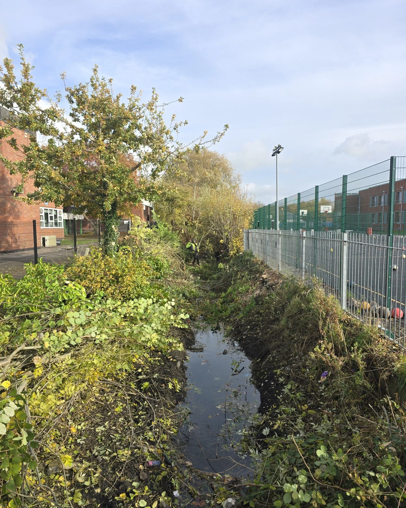 Another site clearance we carried out for one of our schools ✅

Commercial and domestic sites we cover
Contact us now for a free quotation 📞
Fully insured and qualified 📃