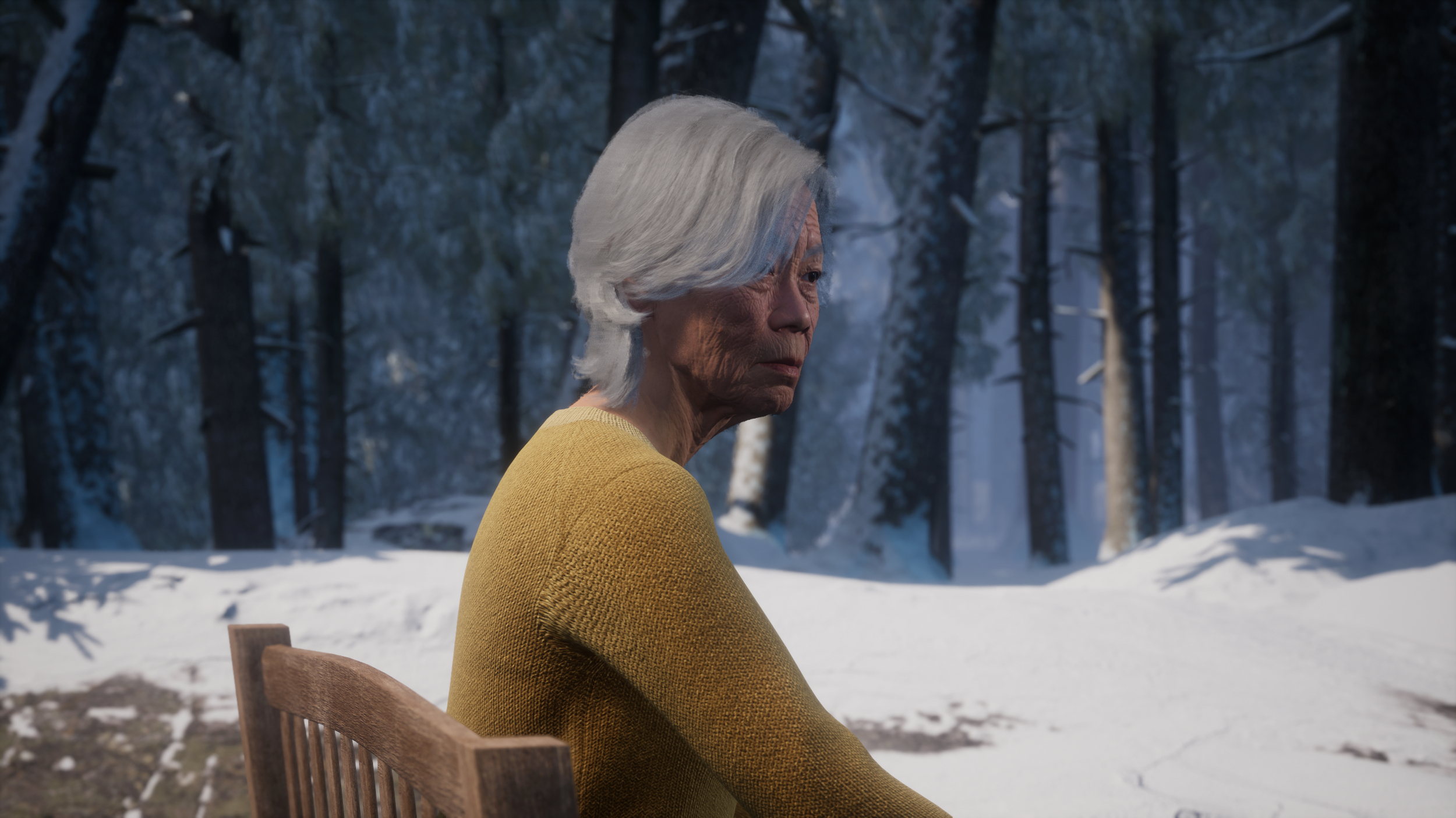 LS_SnowForest_Bench.0990.png
