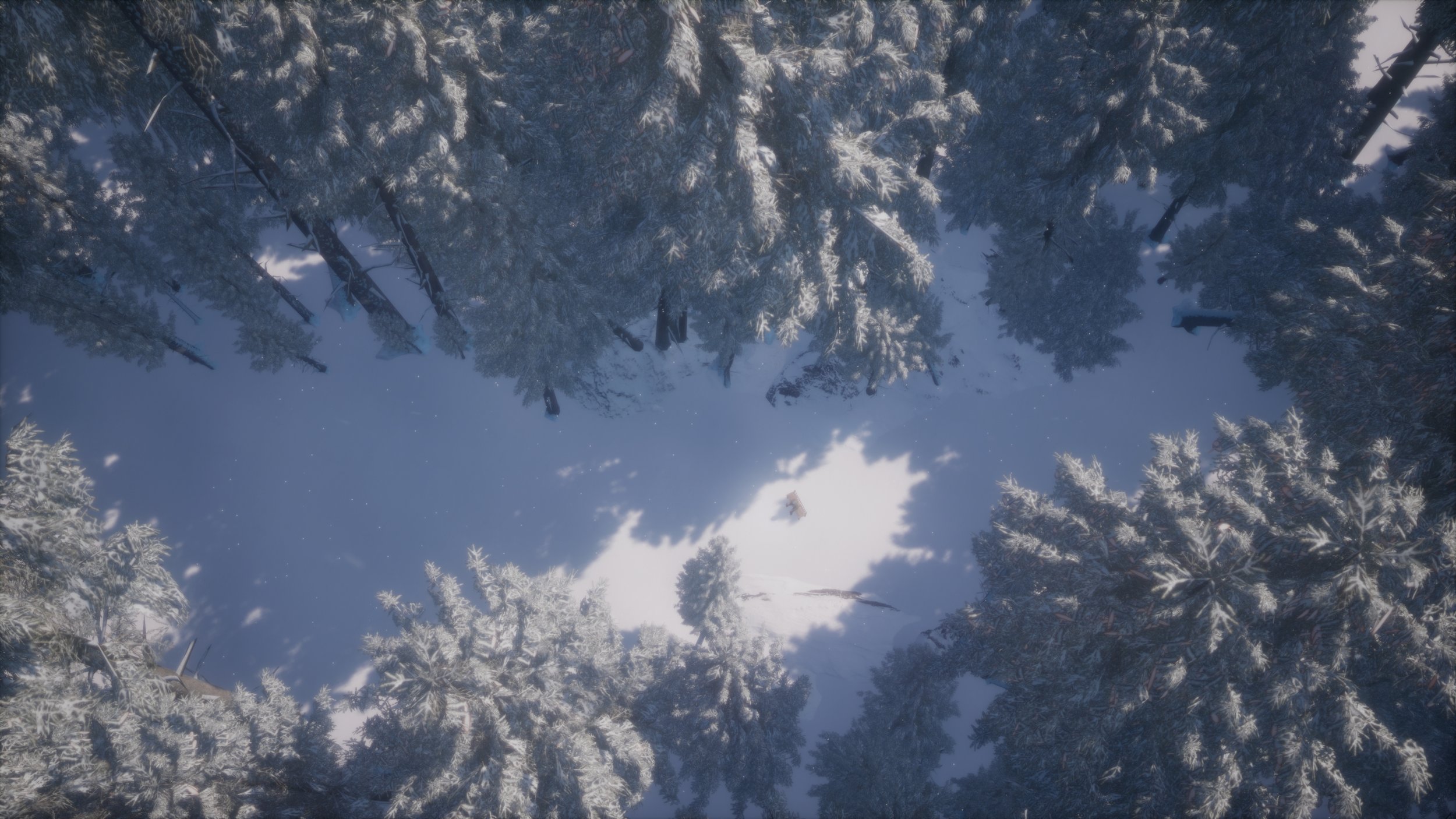 LS_SnowForest.0680.jpeg