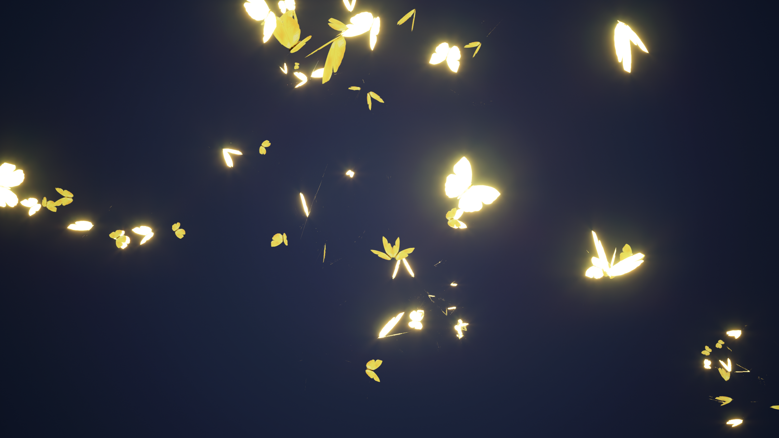 LS_Selfspace.4251.png