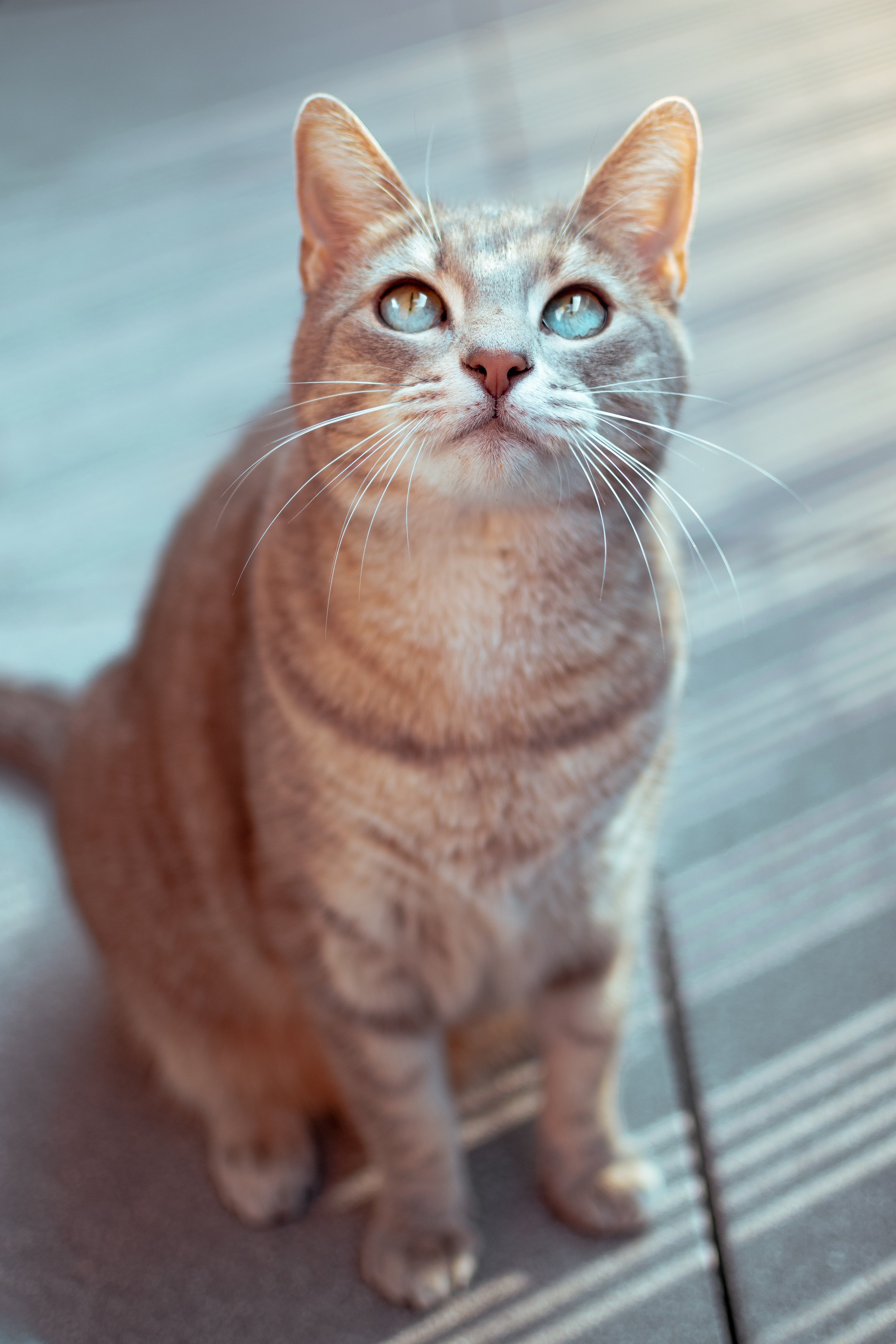 DSC_0399.jpg