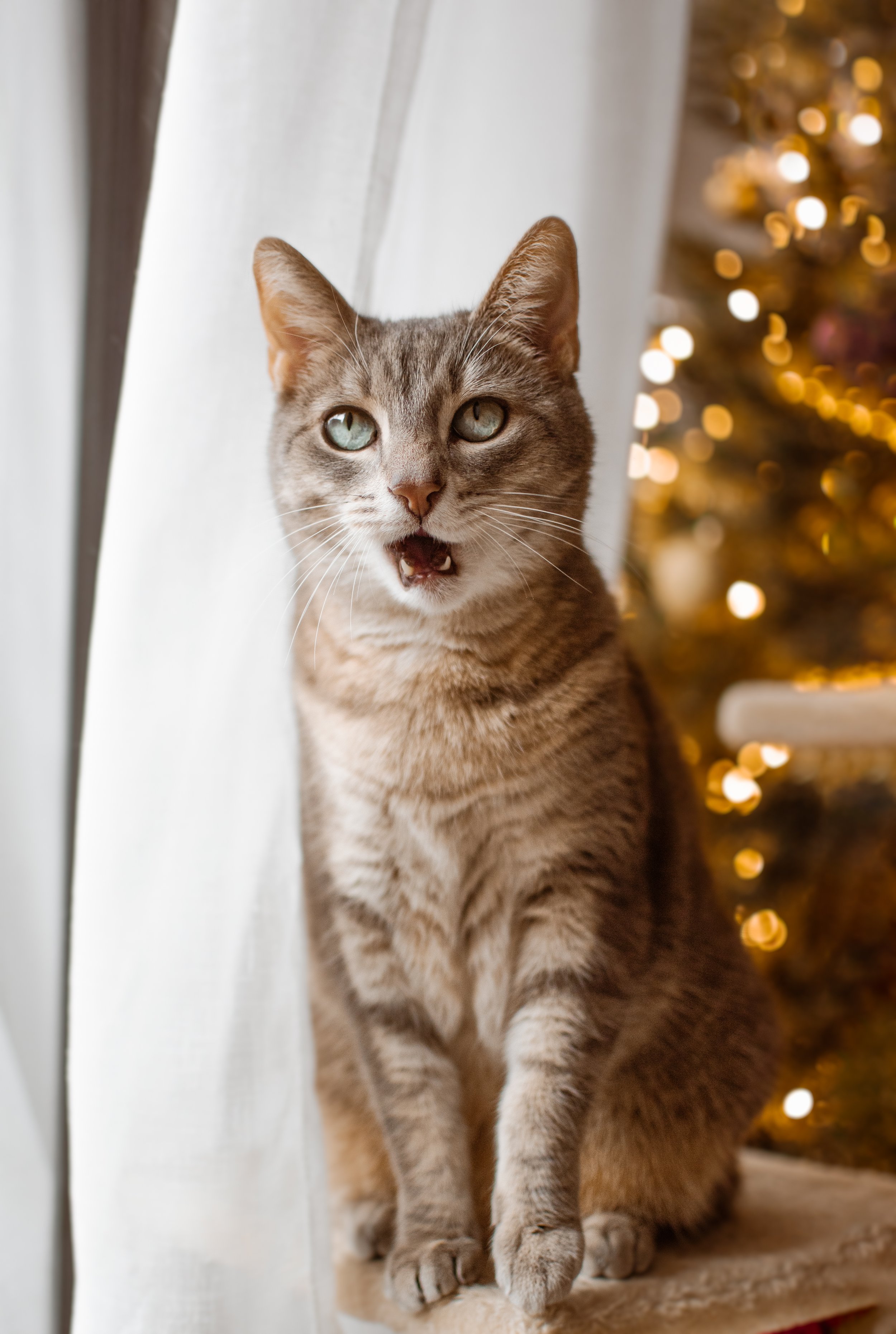 DSC_0123-Modifier.jpg