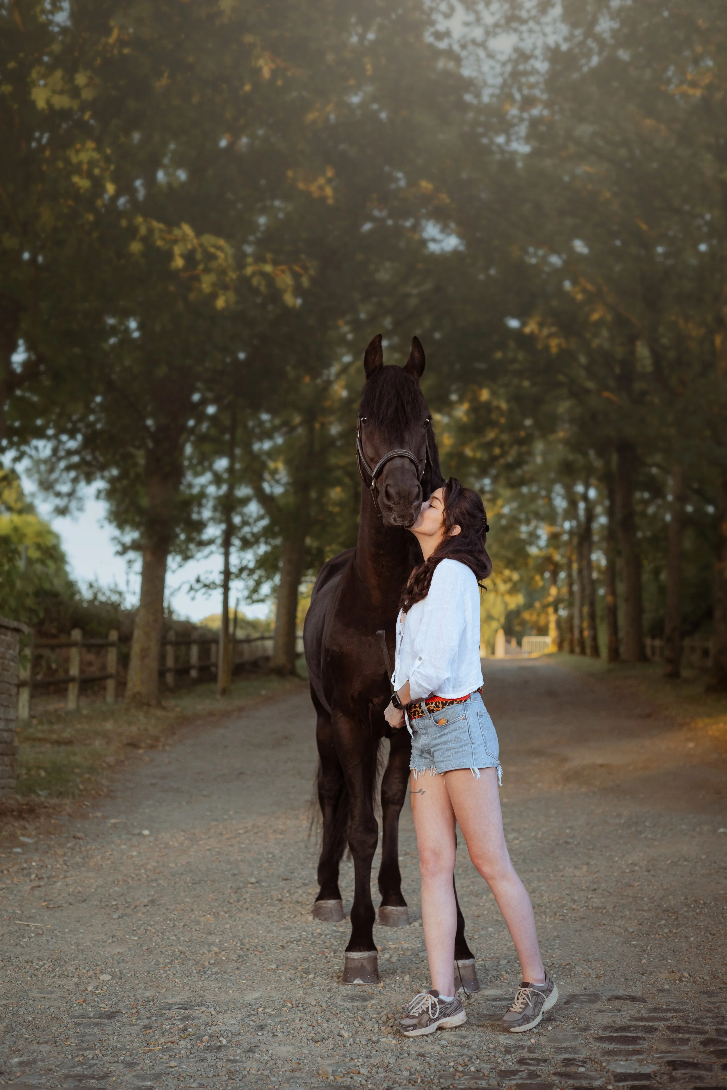 Une femme embrasse un cheval noir dans un parc en plein air, entourée d'arbres avec des feuilles d'automne, lors d'une séance photo en fin d'après-midi.