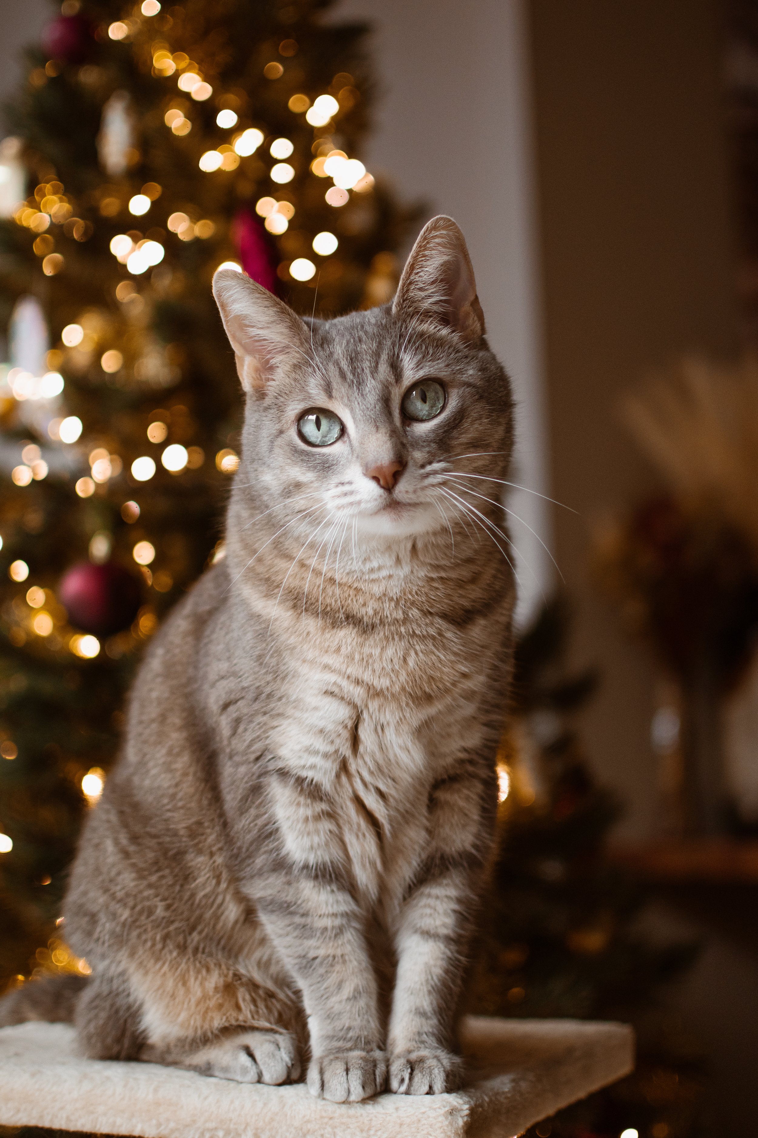 DSC_0030.jpg