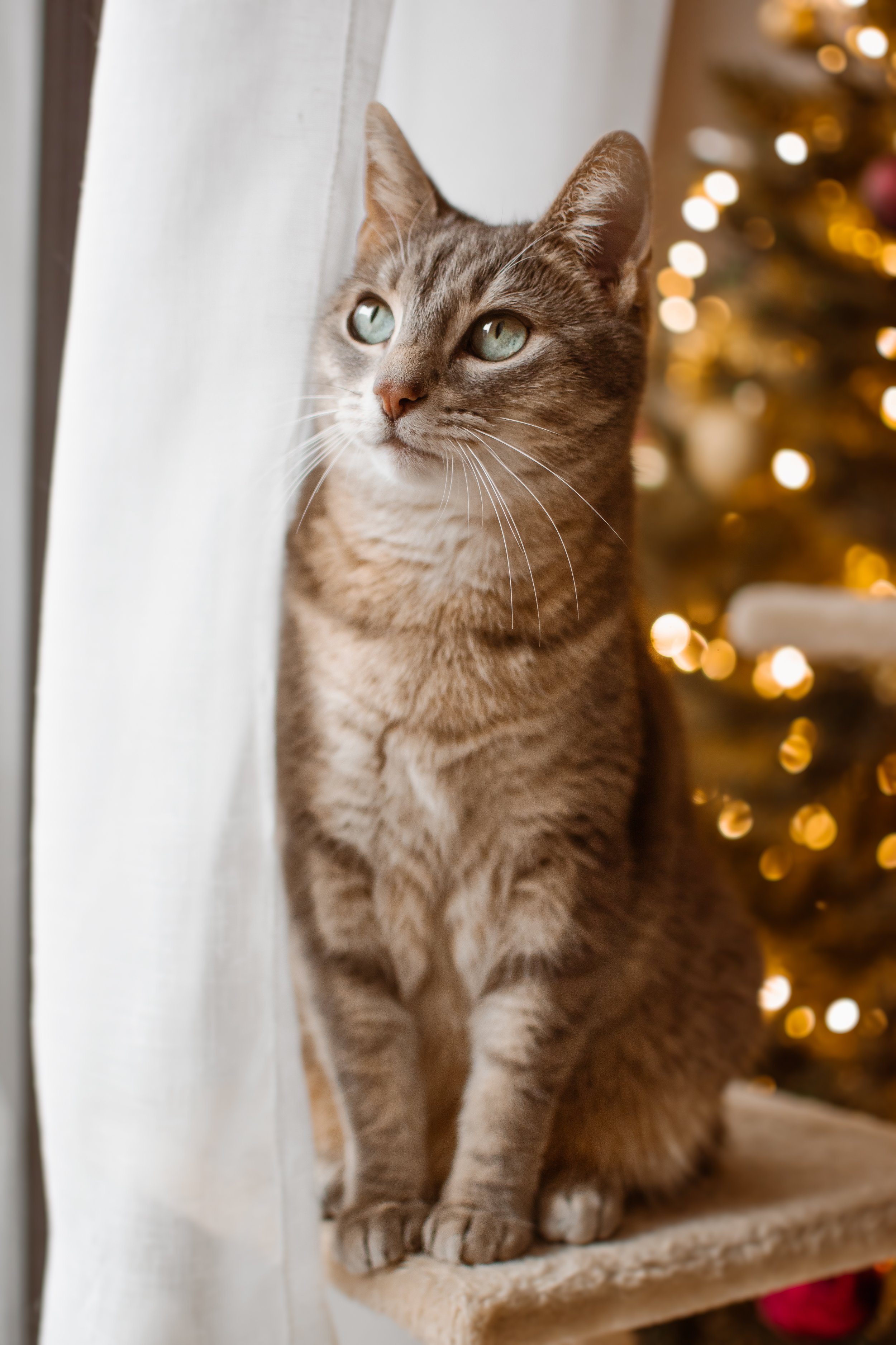 DSC_0120-Modifier-2.jpg
