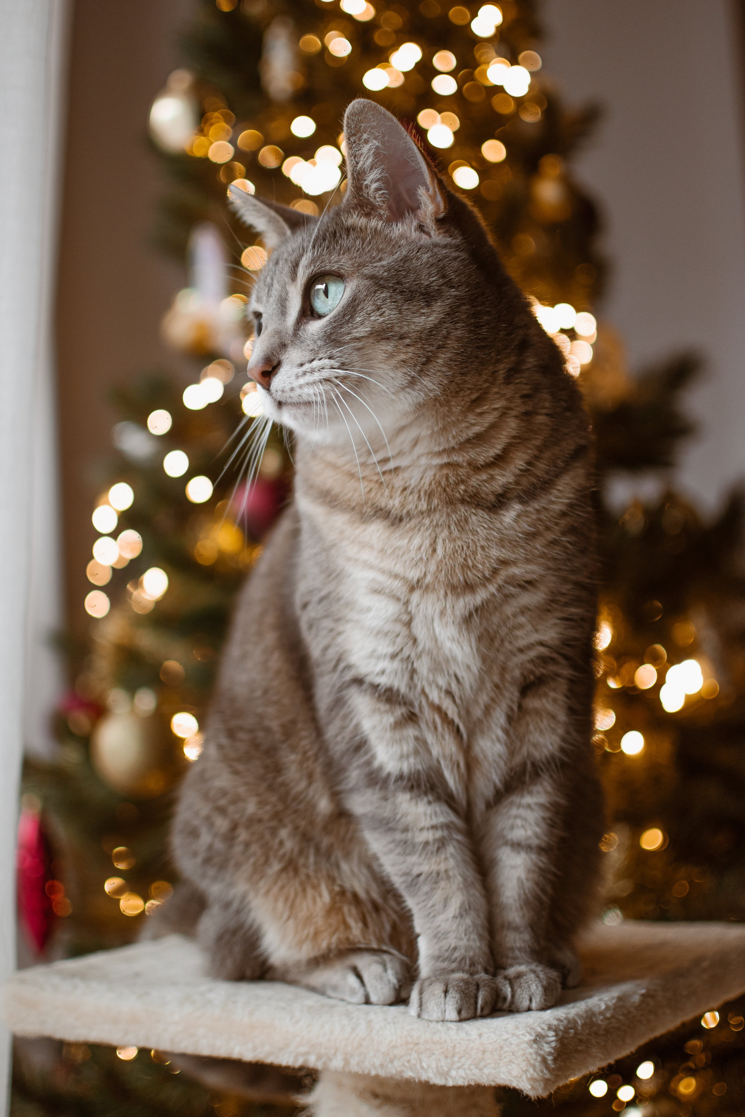 DSC_0018-2.jpg