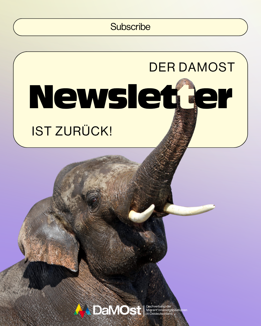 Der DaMOst Newsletter ist zurück!