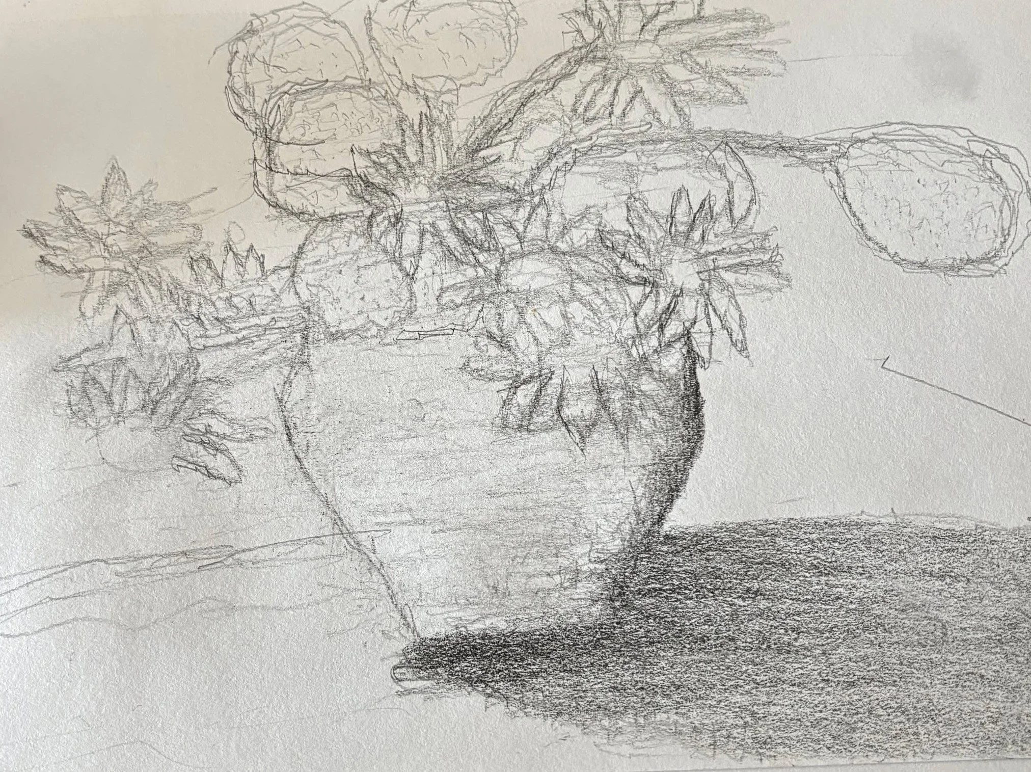 This drawing is homage to Vincent Van Gogh's Sunflowers.