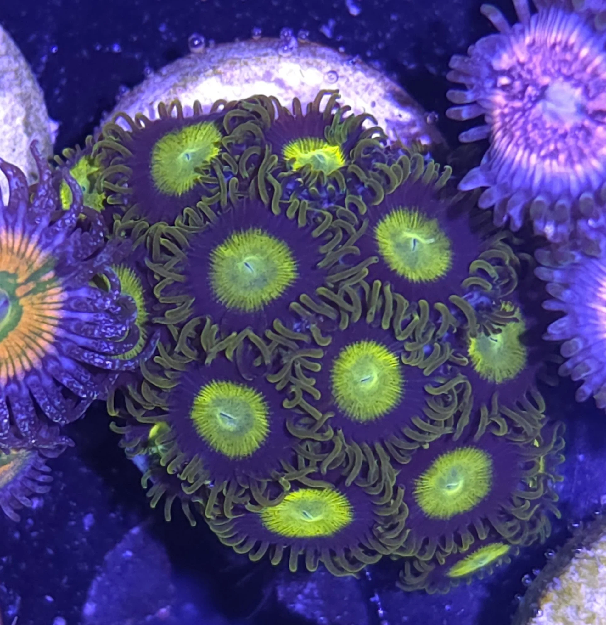 28944.jpg