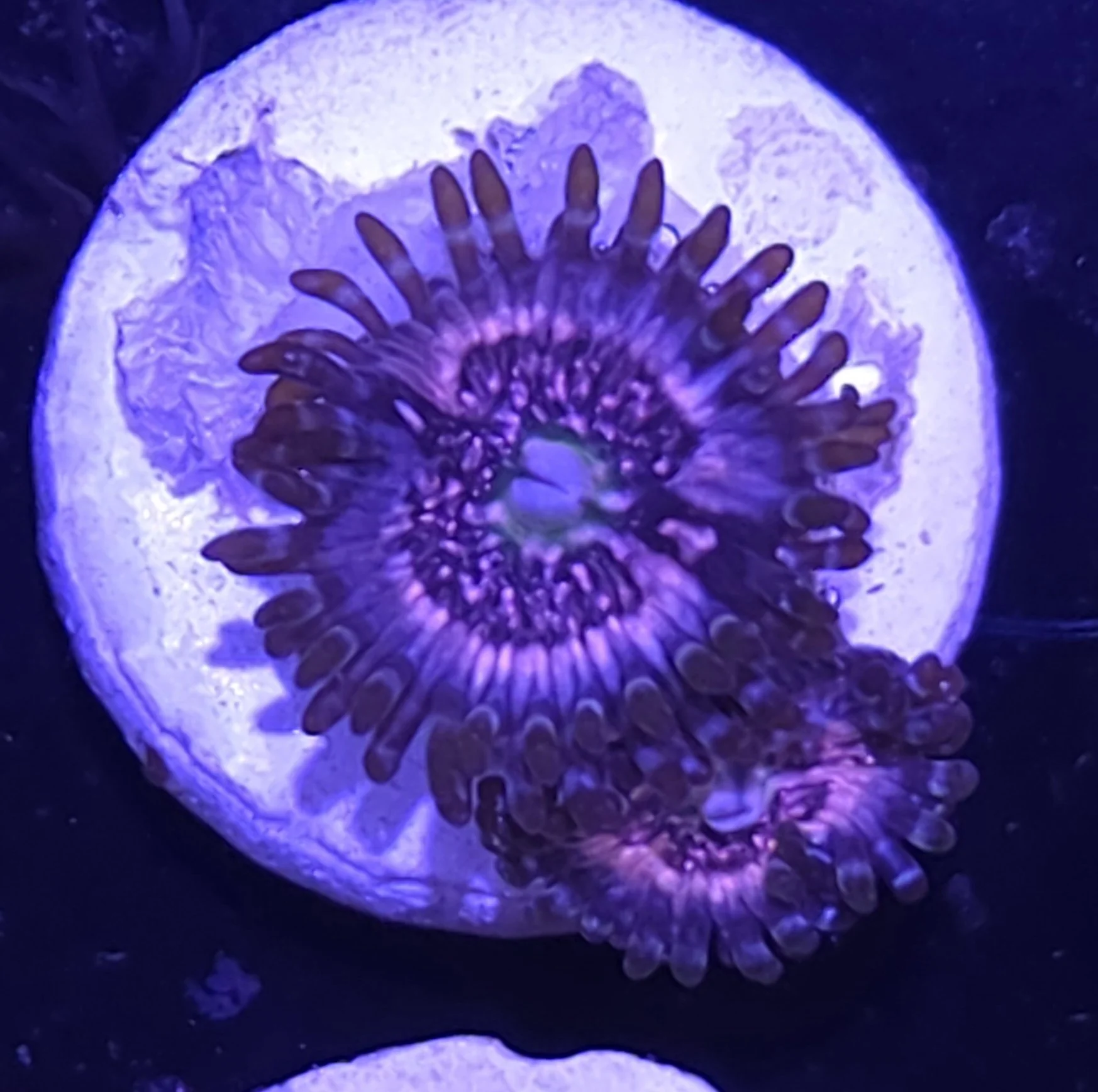 29627.jpg