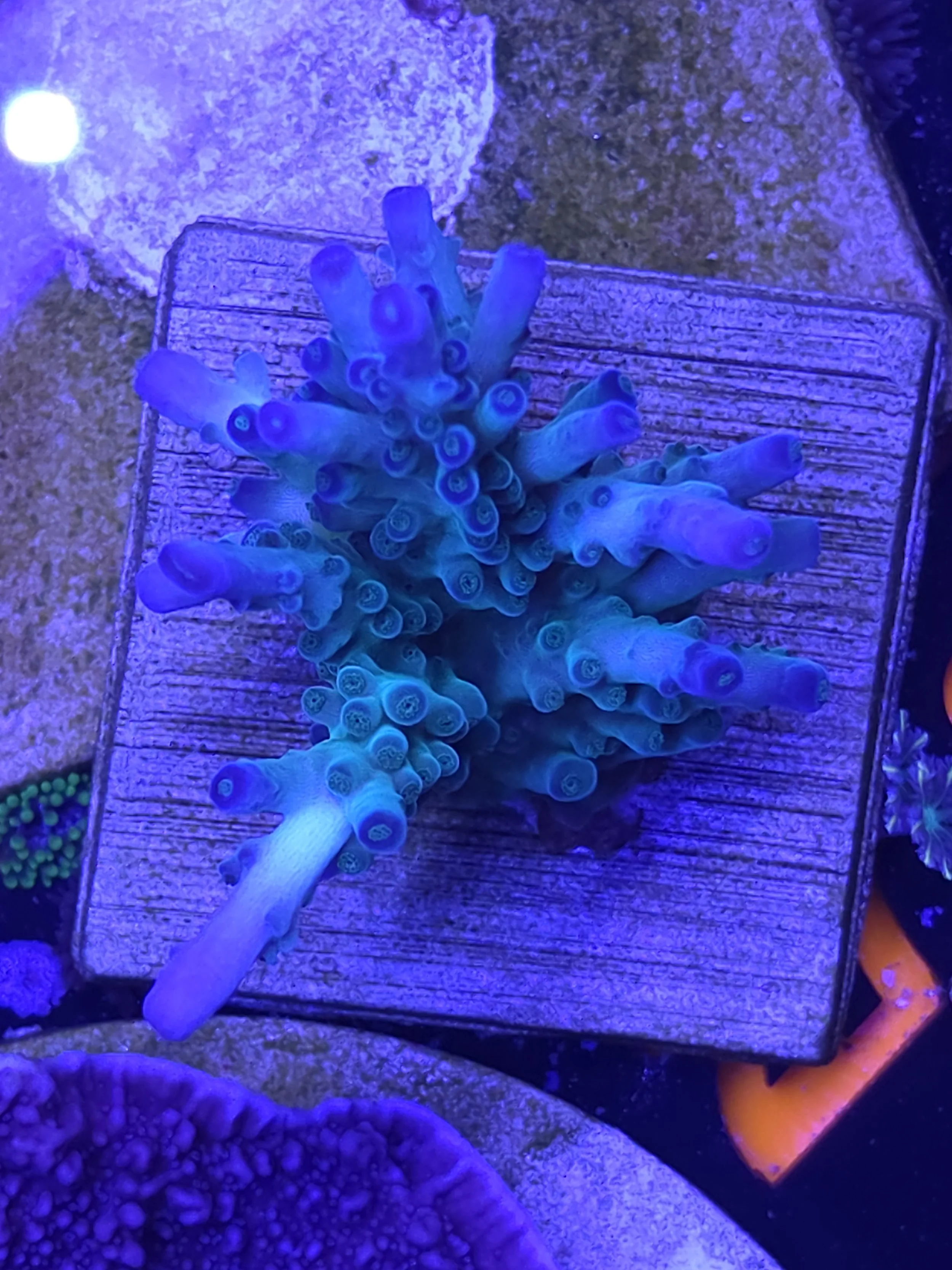 30870.jpg