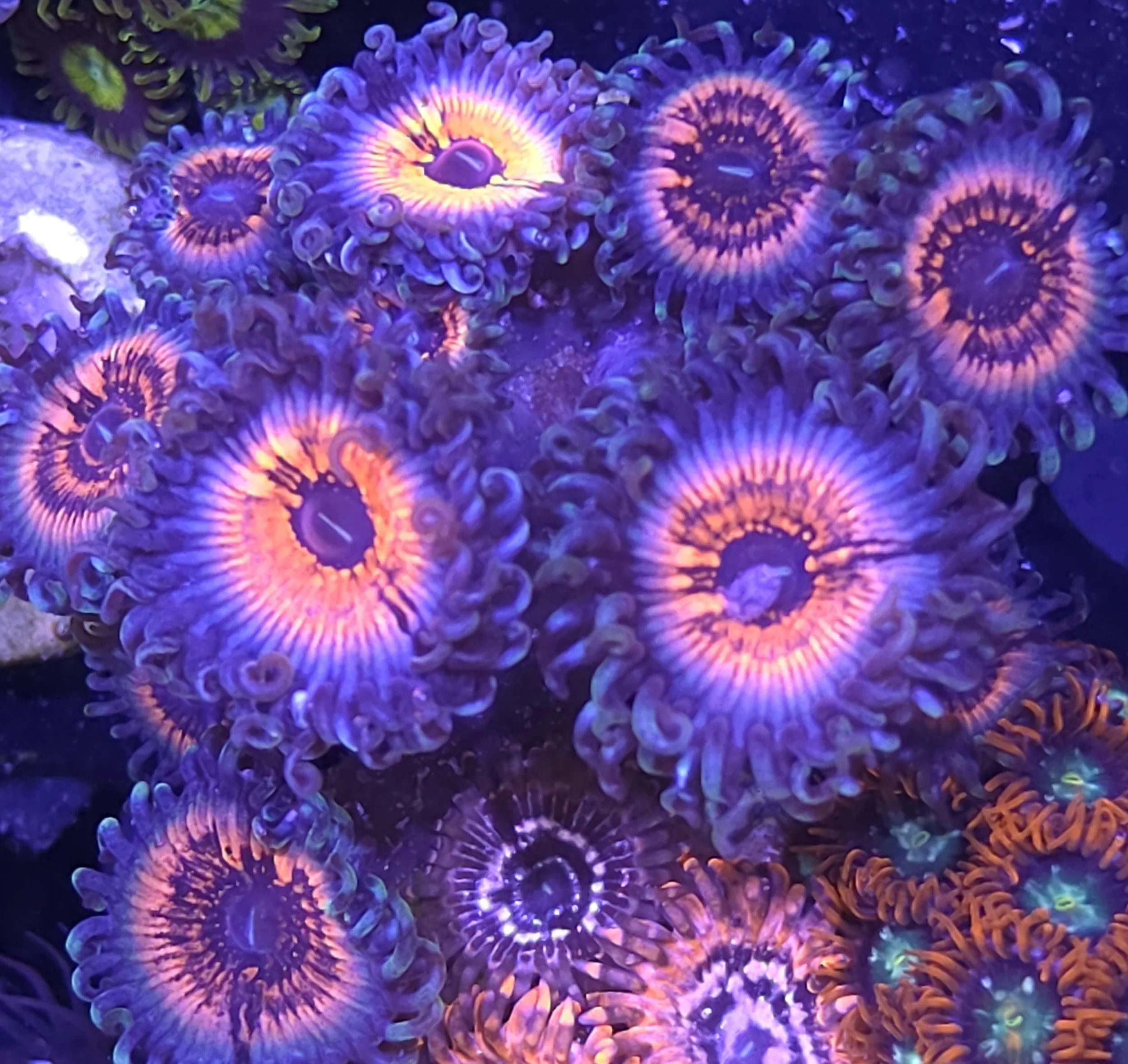 28978.jpg
