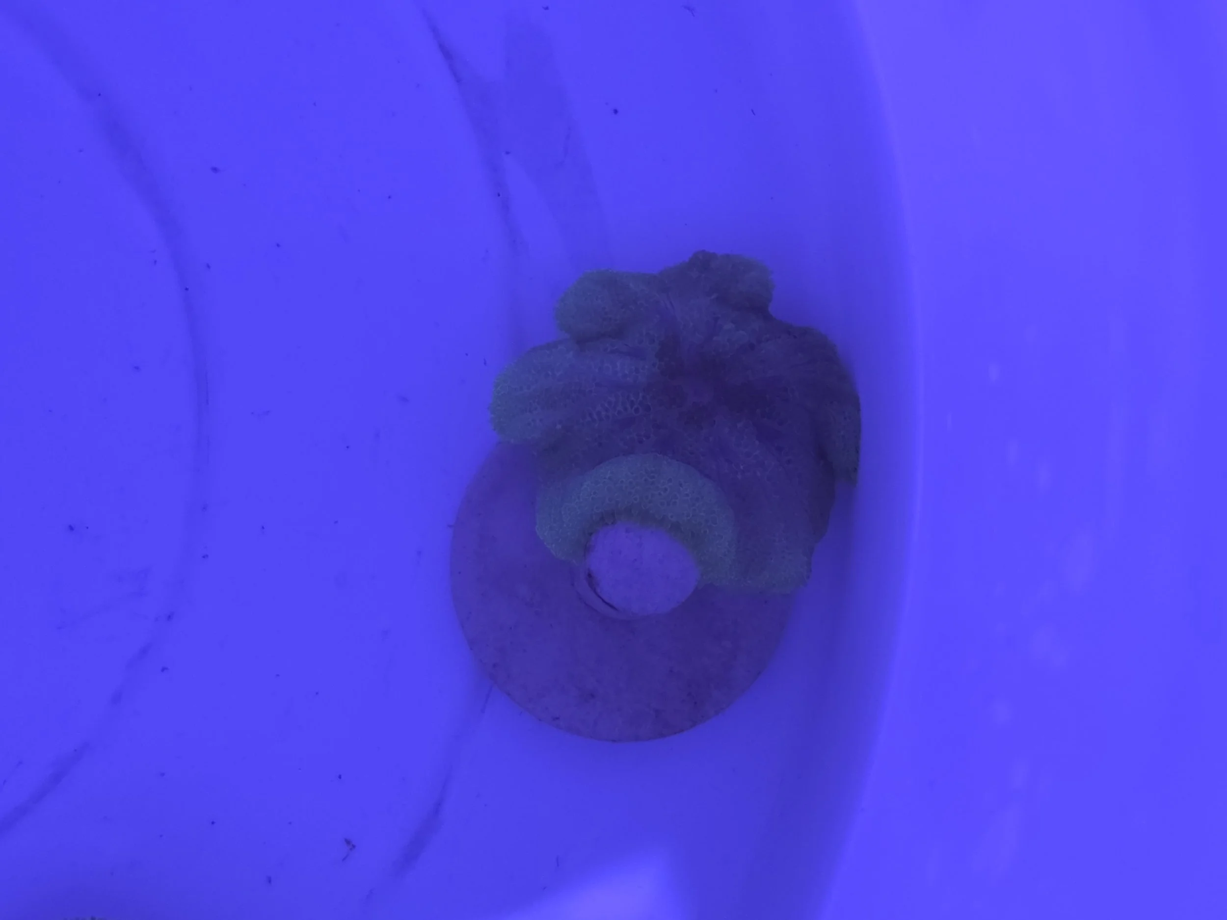 29139.jpg