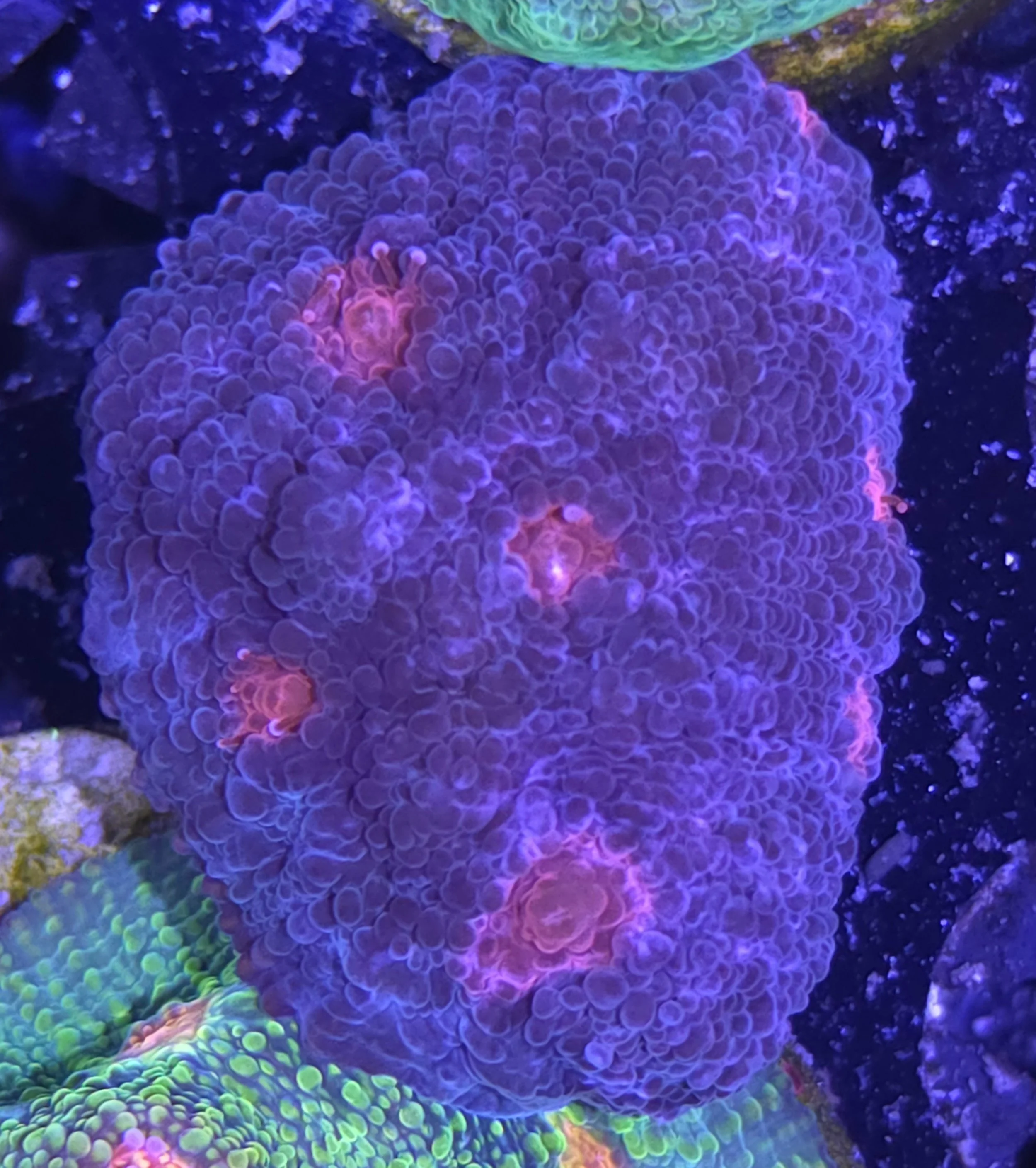 30598.jpg