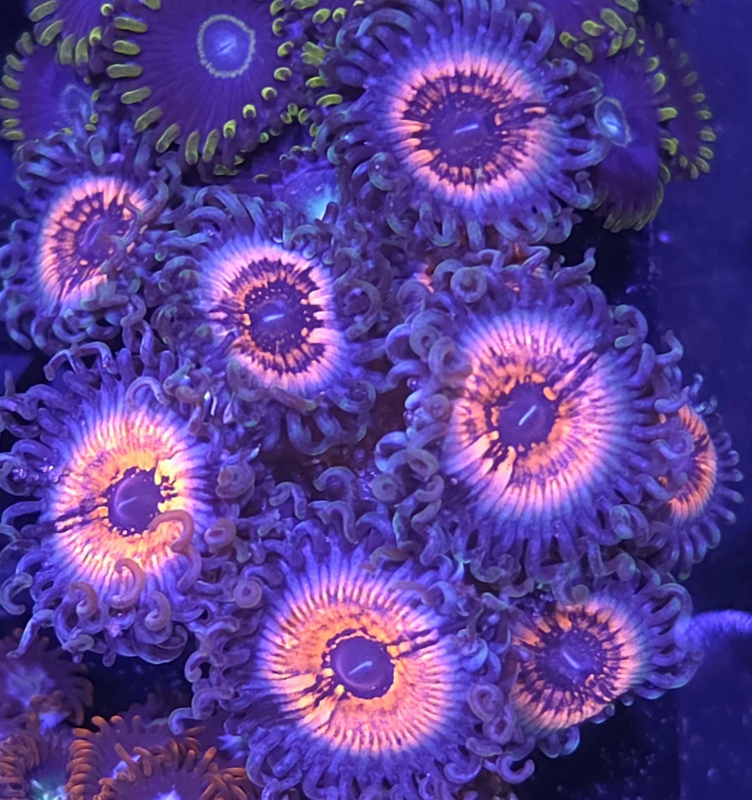 28977.jpg