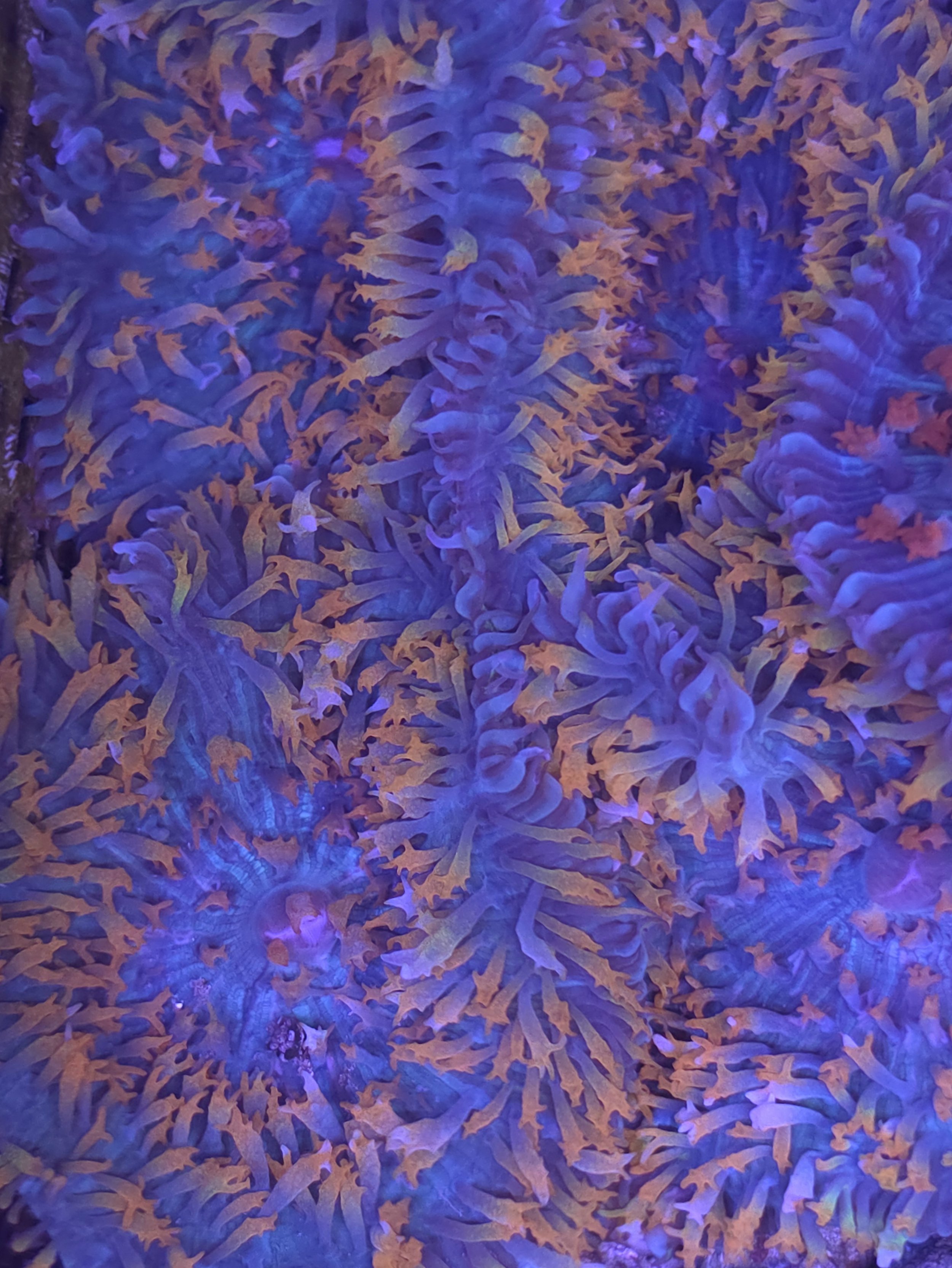 30612.jpg
