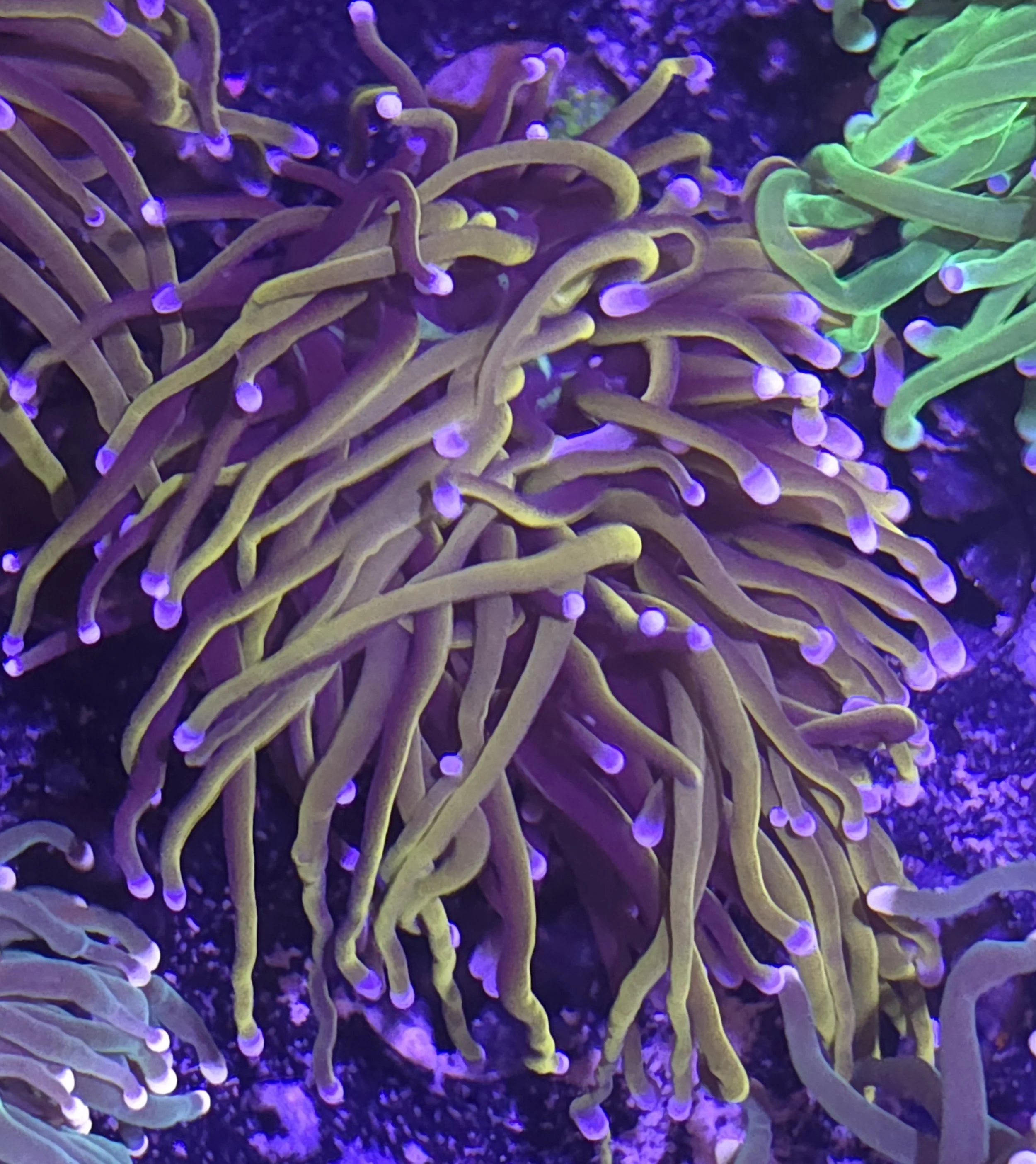 27850.jpg