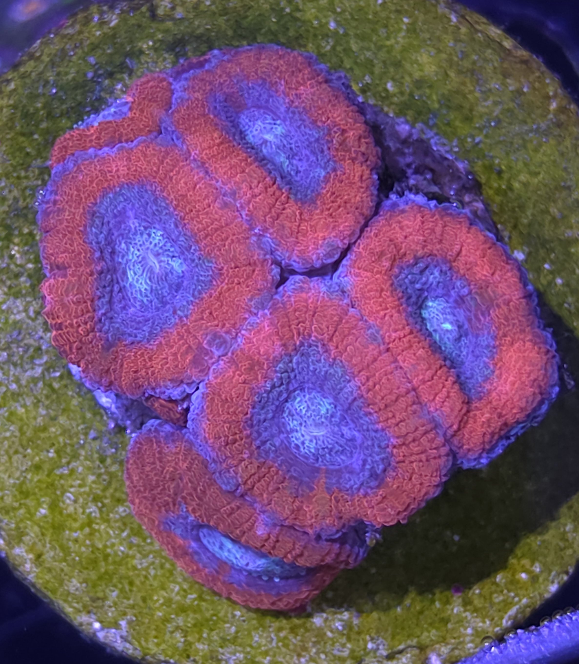 30057.jpg