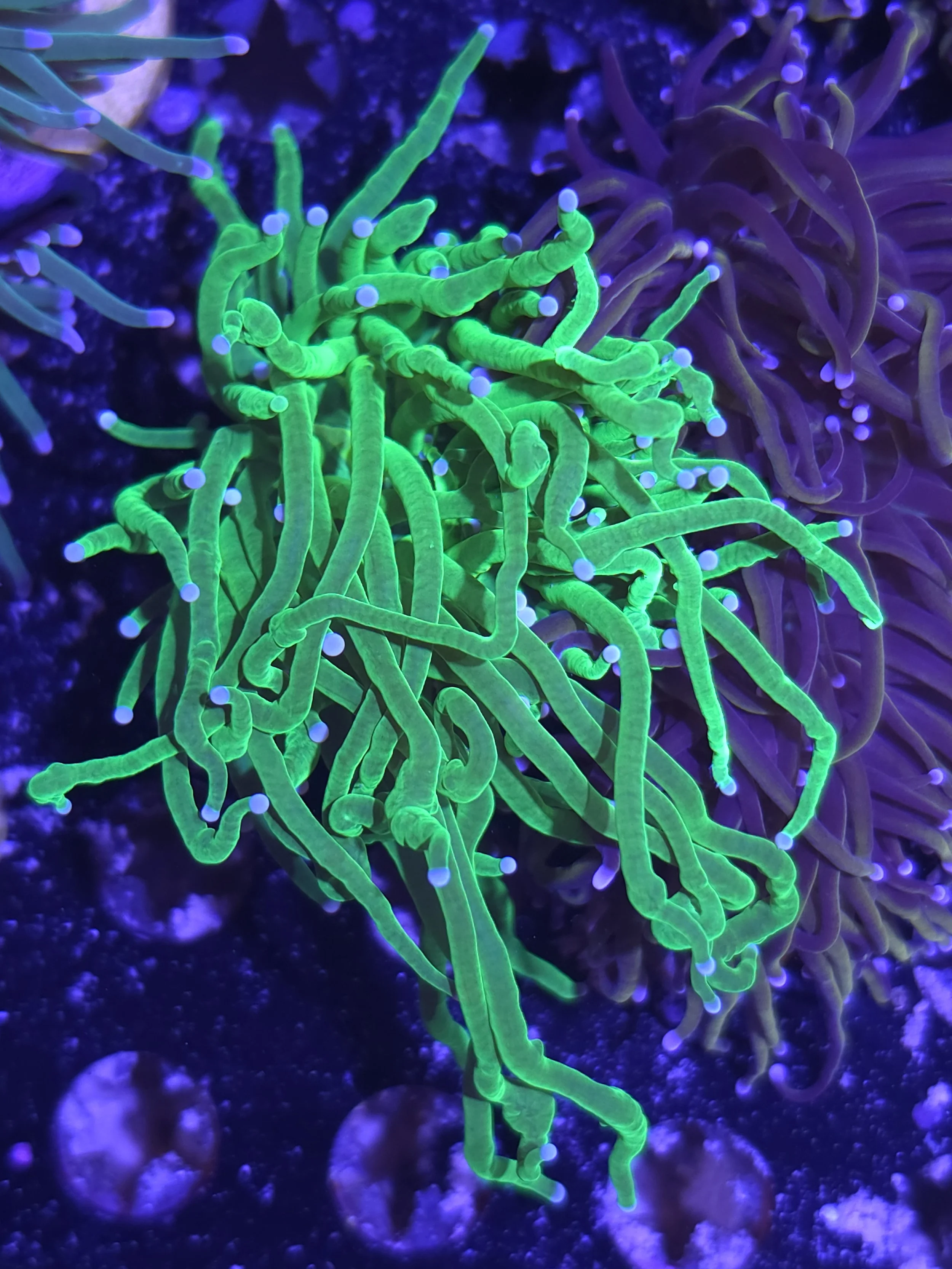 26735.jpg