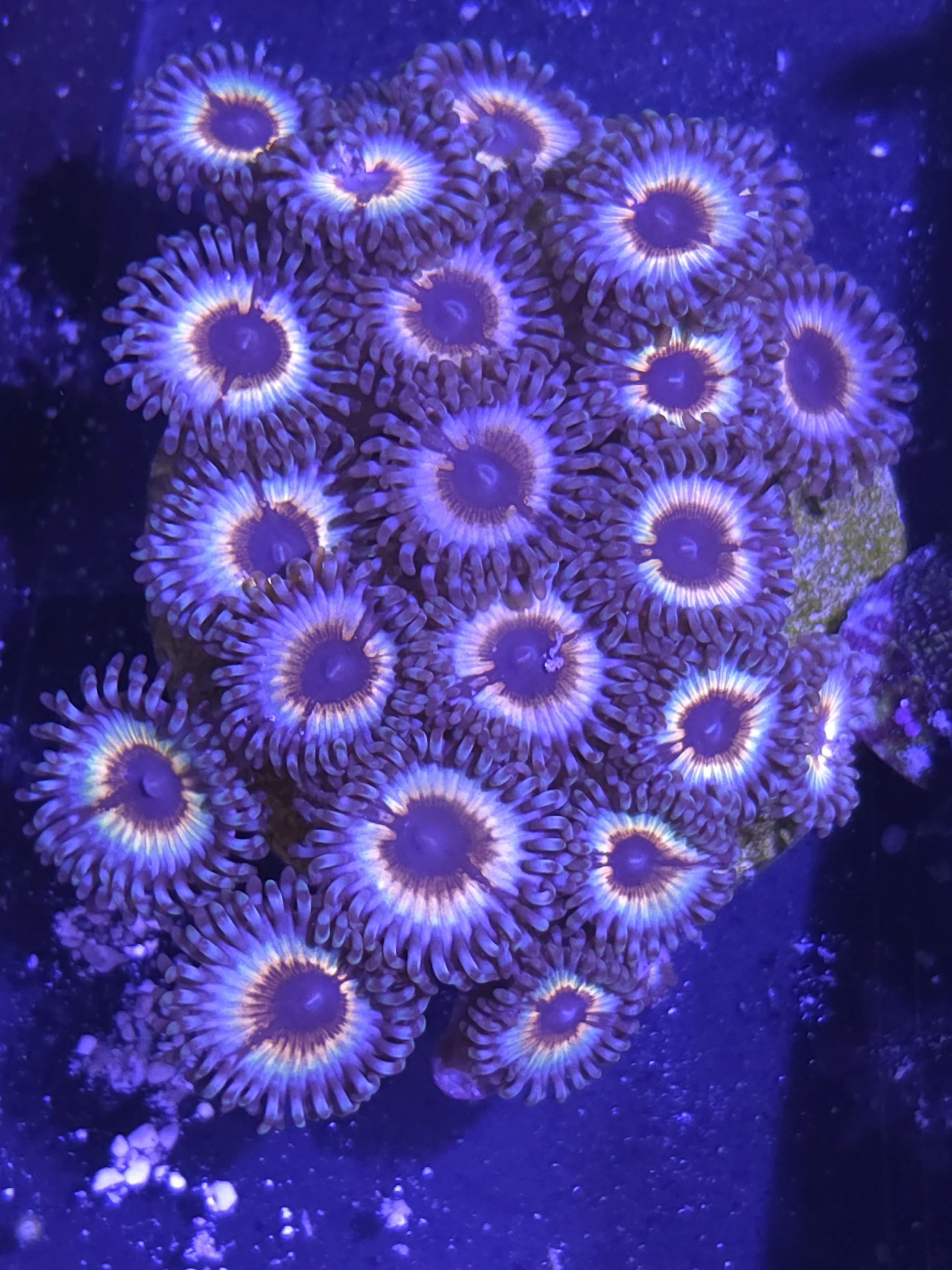 26974.jpg