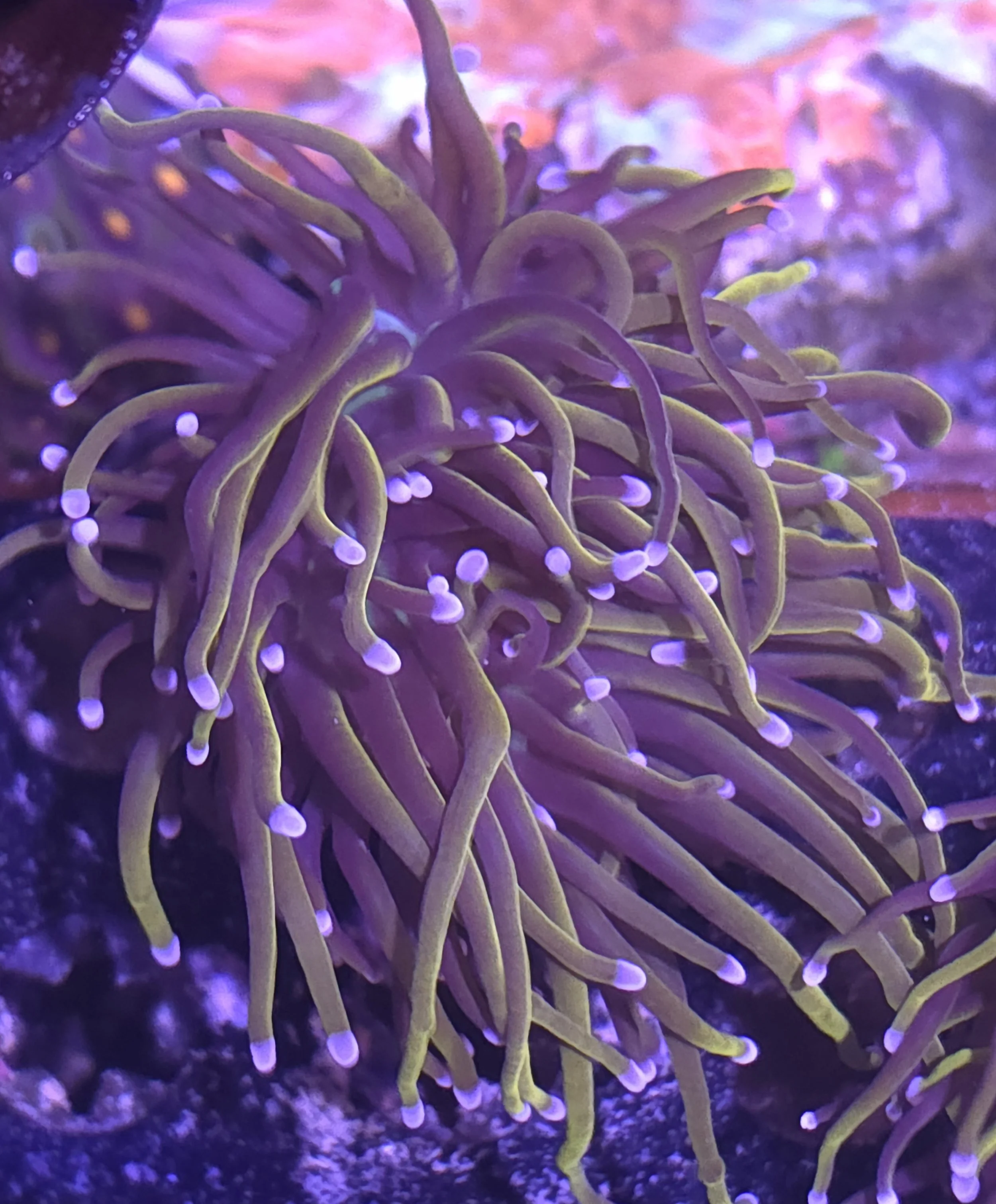 27851.jpg