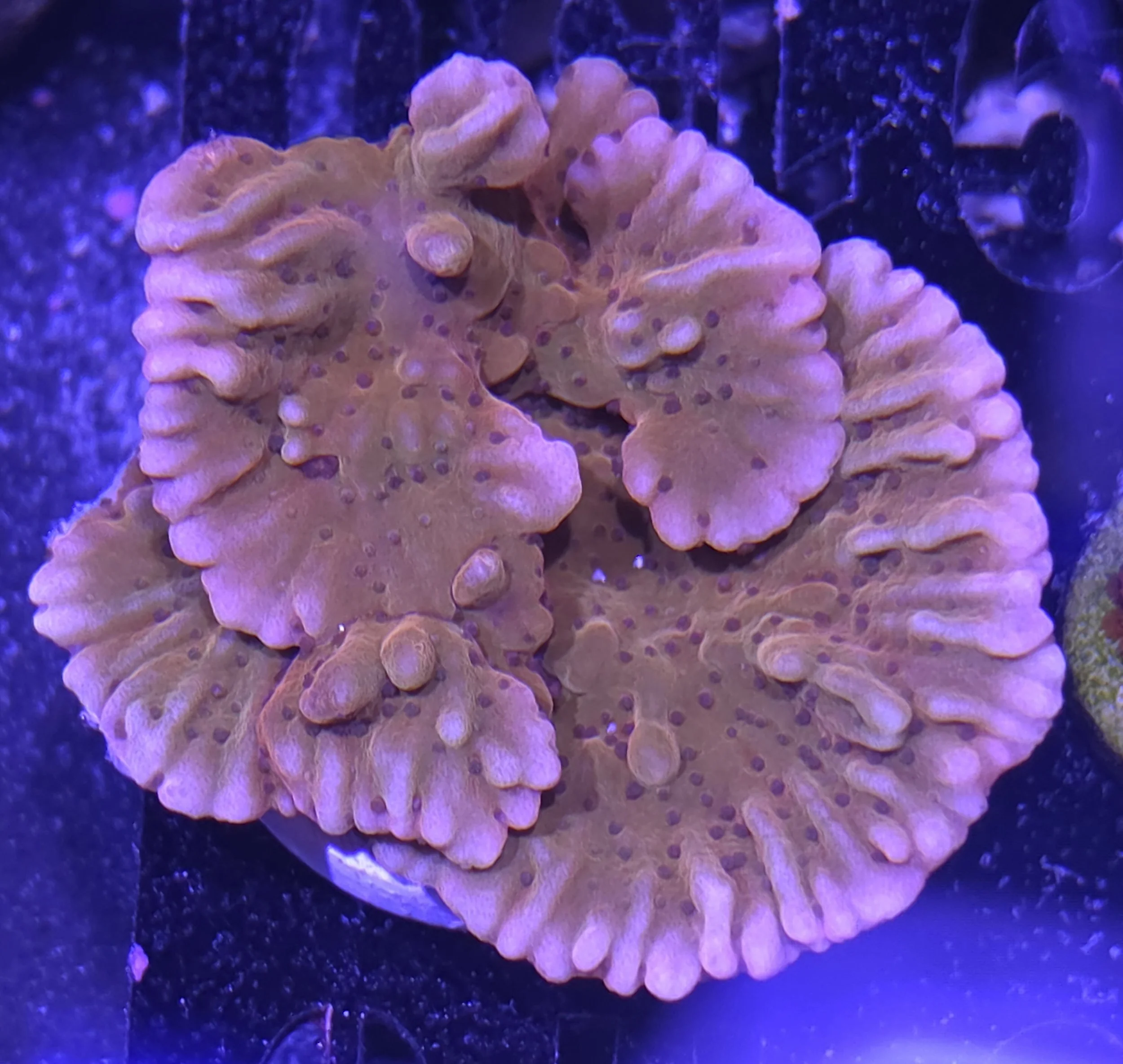 28560.jpg
