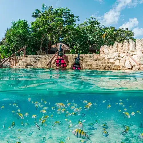 Xcaret Experiences from Puerto Morelos
