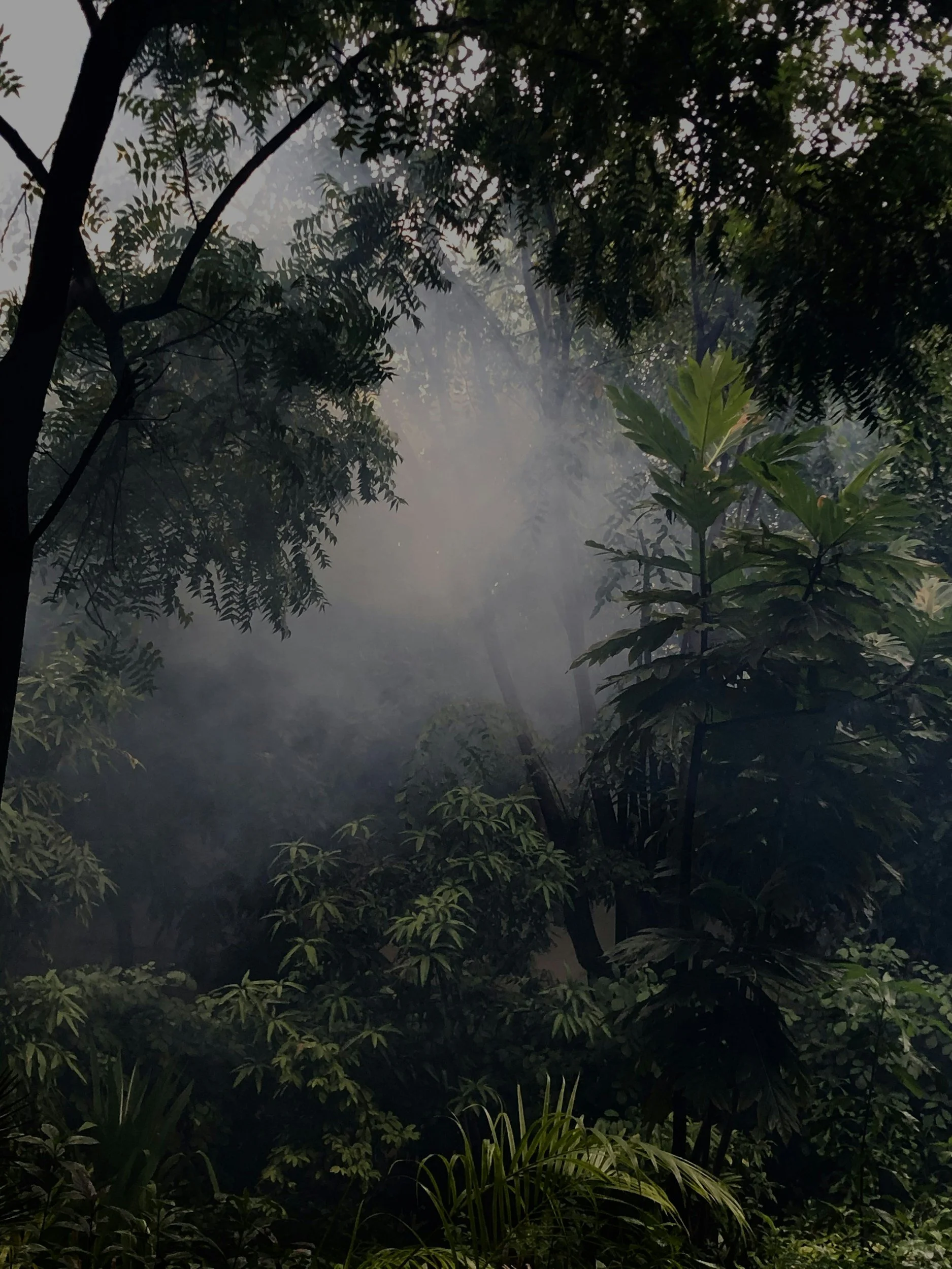 Traditional Smoke Cleansing and Energetic Renewal near Cancún, Playa del Carmen and Tulum