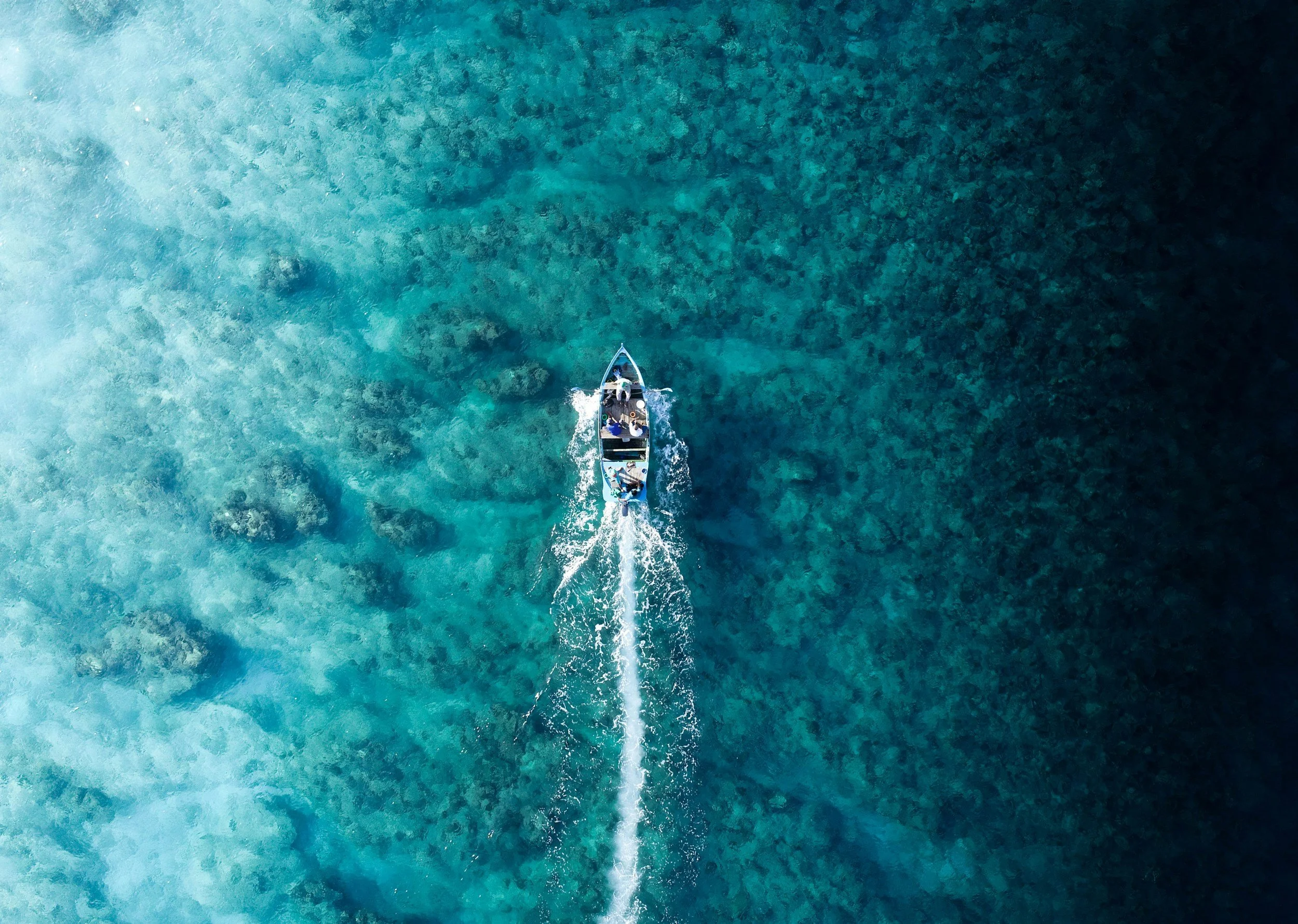 Fishing in Puerto Morelos