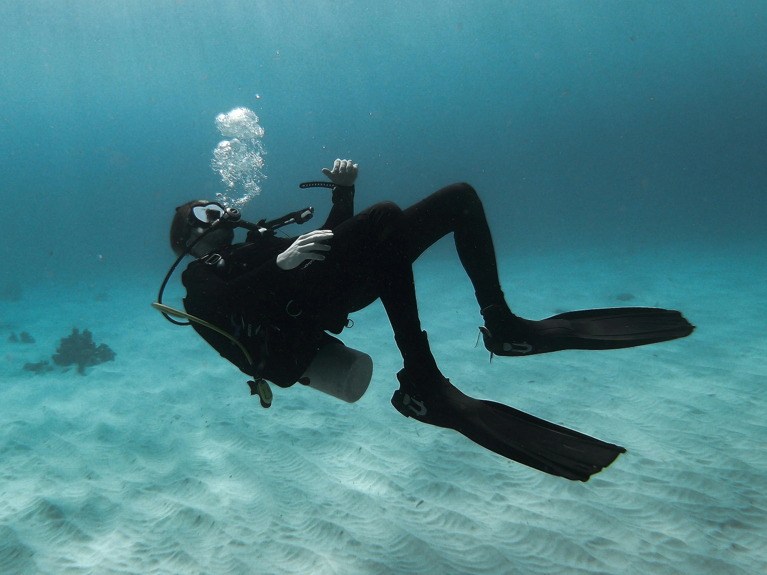 Scuba Diving in Puerto Morelos