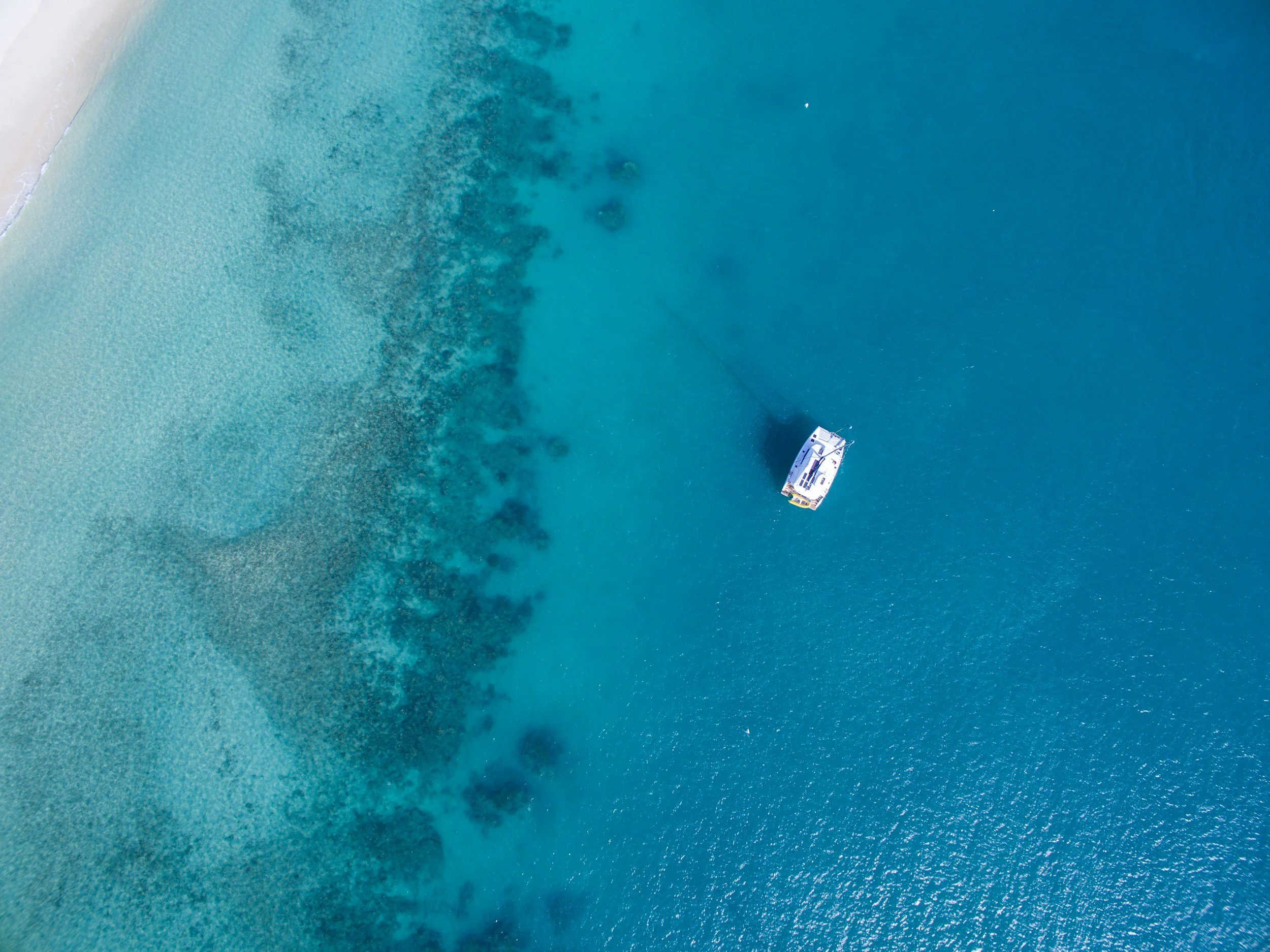Catamaran Tours for Large Groups from Cancún to Isla Mujeres