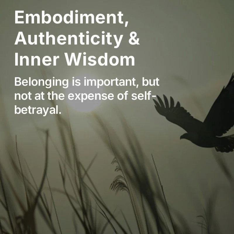 The end of the year can carry a lot, mentally and emotionally. I shared a brief meditation as an invitation to slow down, come back into the body, and listen inwardly.
Link in bio.

#embodiment #energy #selfrespect #authenticity #blackbirdfly #congru