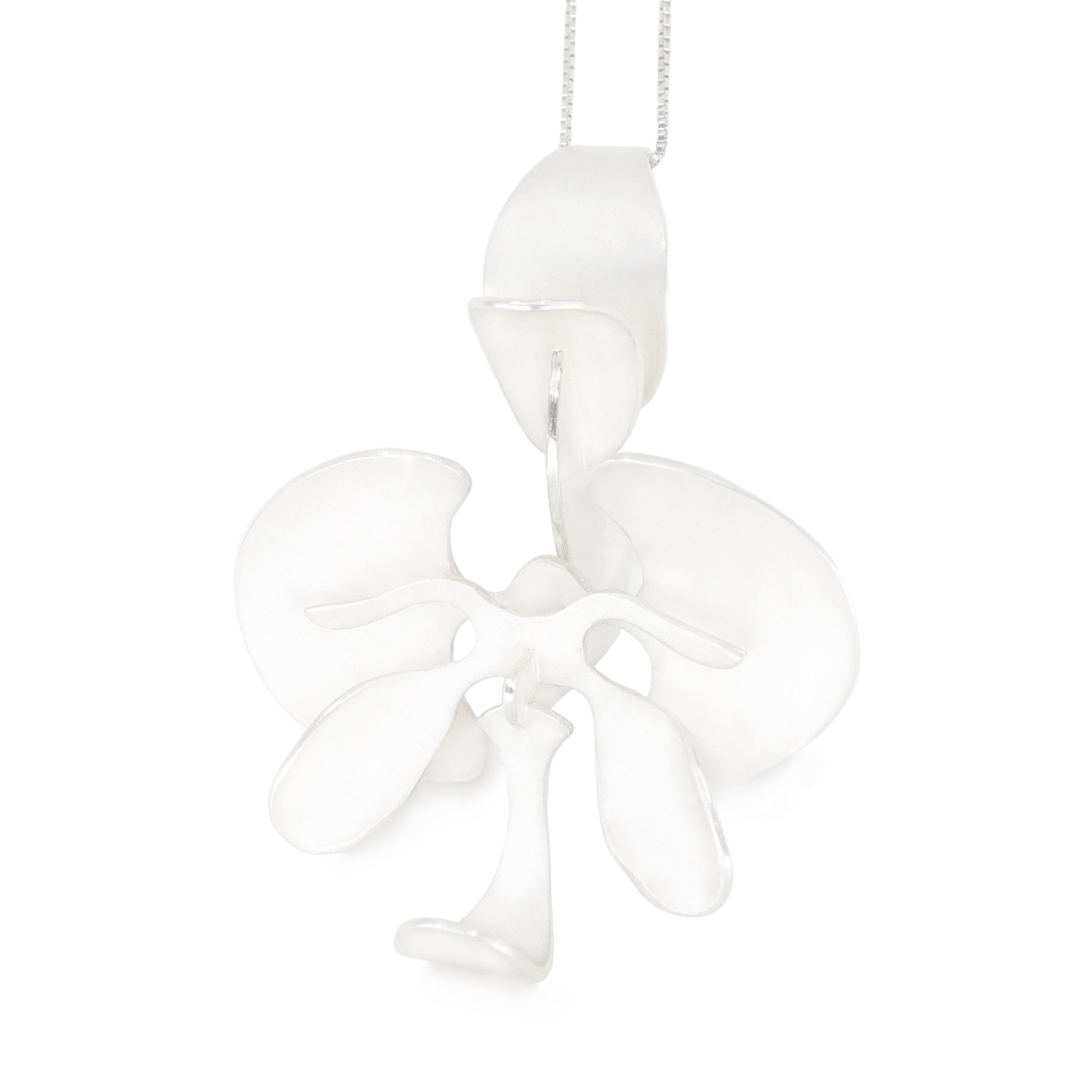 orchid+angle+view+copy.jpg