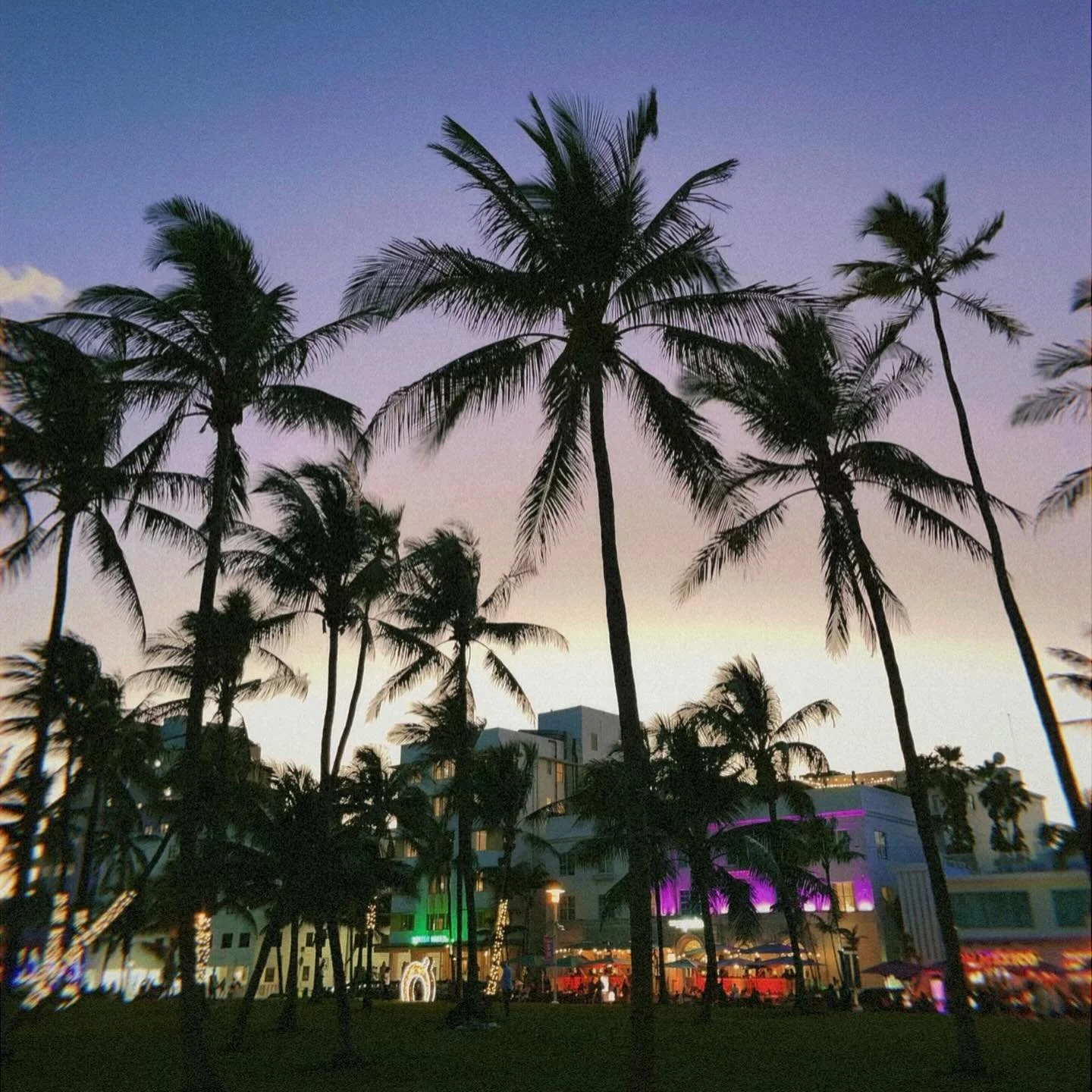 tbt to Miamiiiiiii; last trip in twenty twenty threee