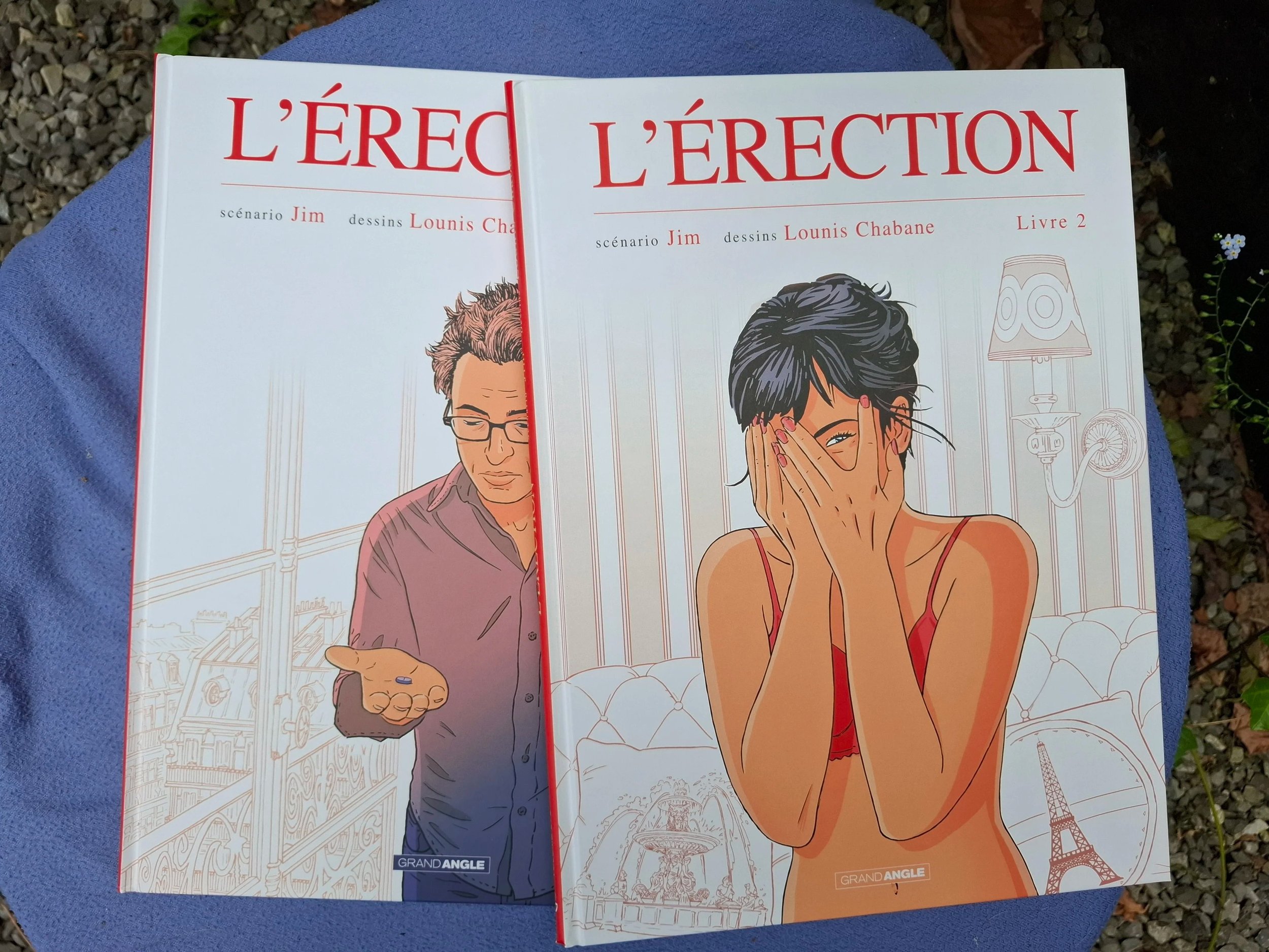L'ERECTION TOMES 1 ET 2 SERIE COMPLETE JIM TOUS EO