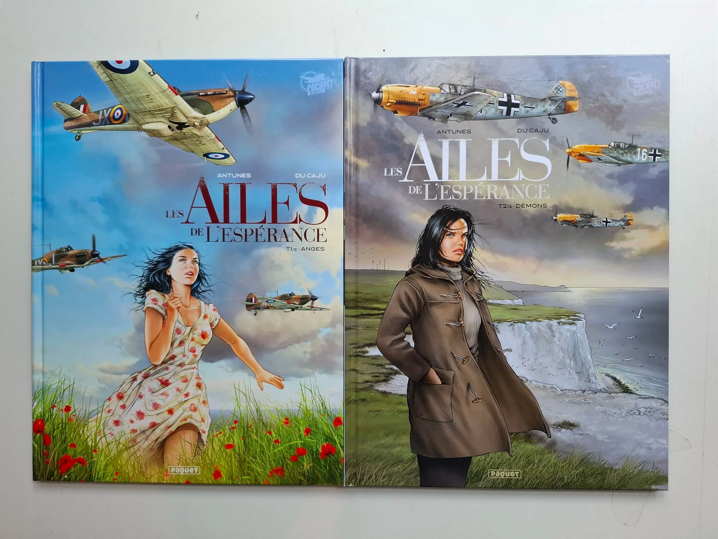 LES AILES DE L'ESPERANCE TOMES 1 ET 2 SERIE COMPLETE PAQUEt