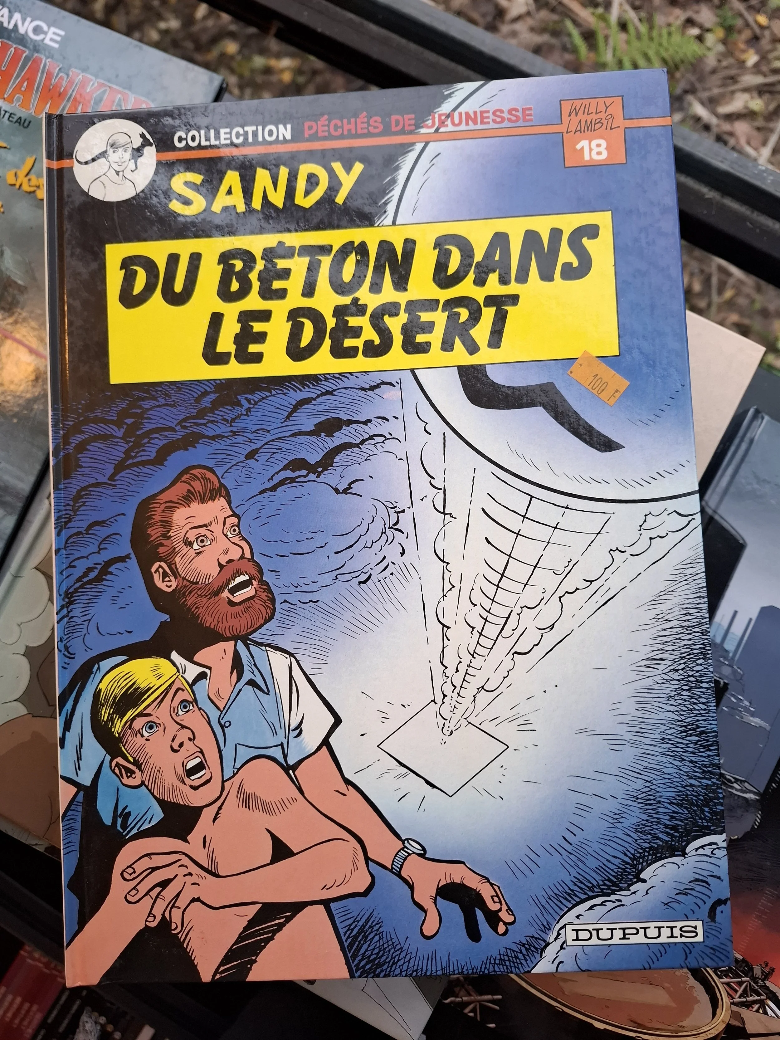 COLLECTION PECHES DE JEUNESSE SANDY LAMBIL EO 1984