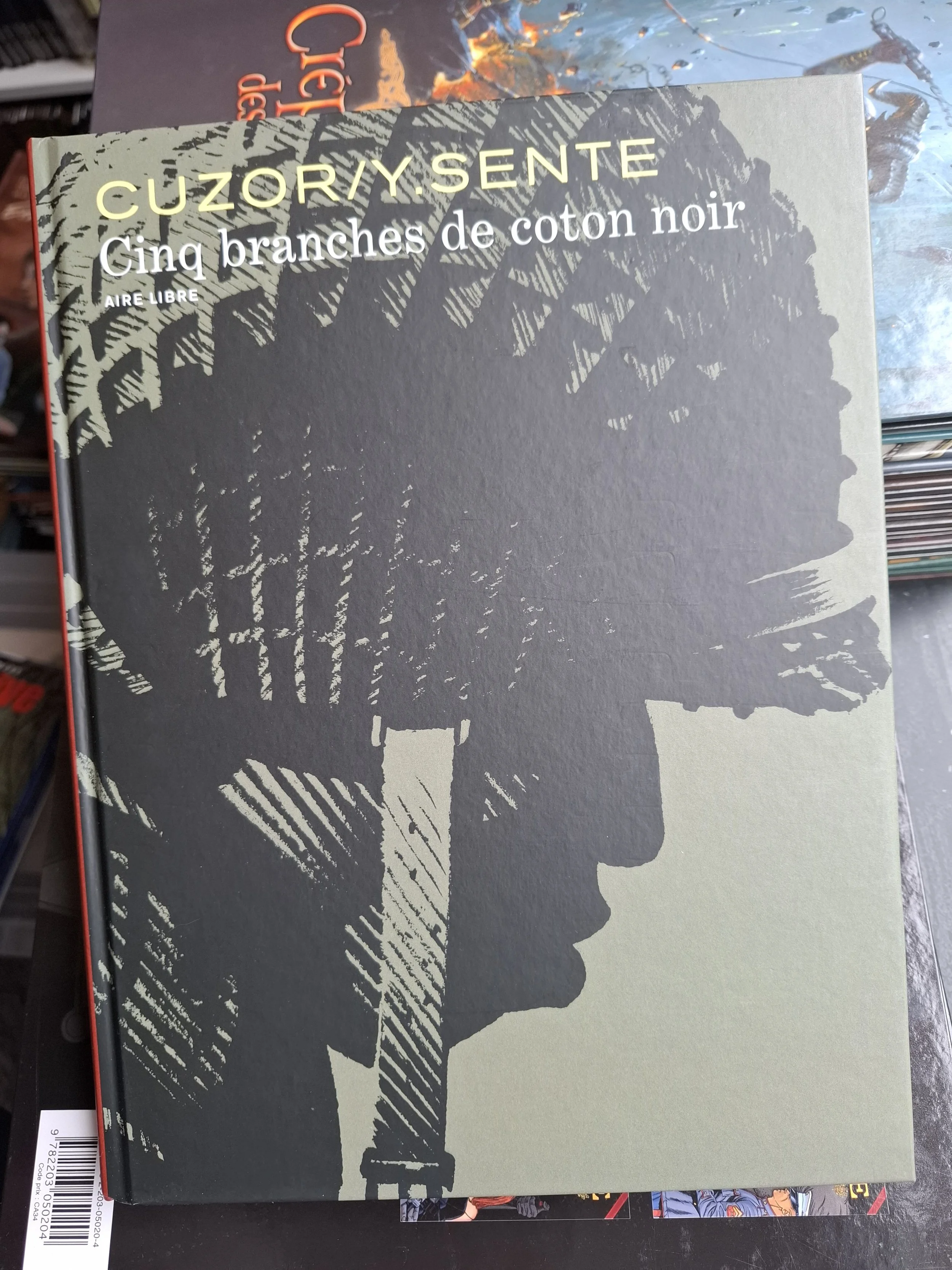 AIRE LIBRE CINQ BRANCHES DE COTON NOIR CUZOR EO 2018