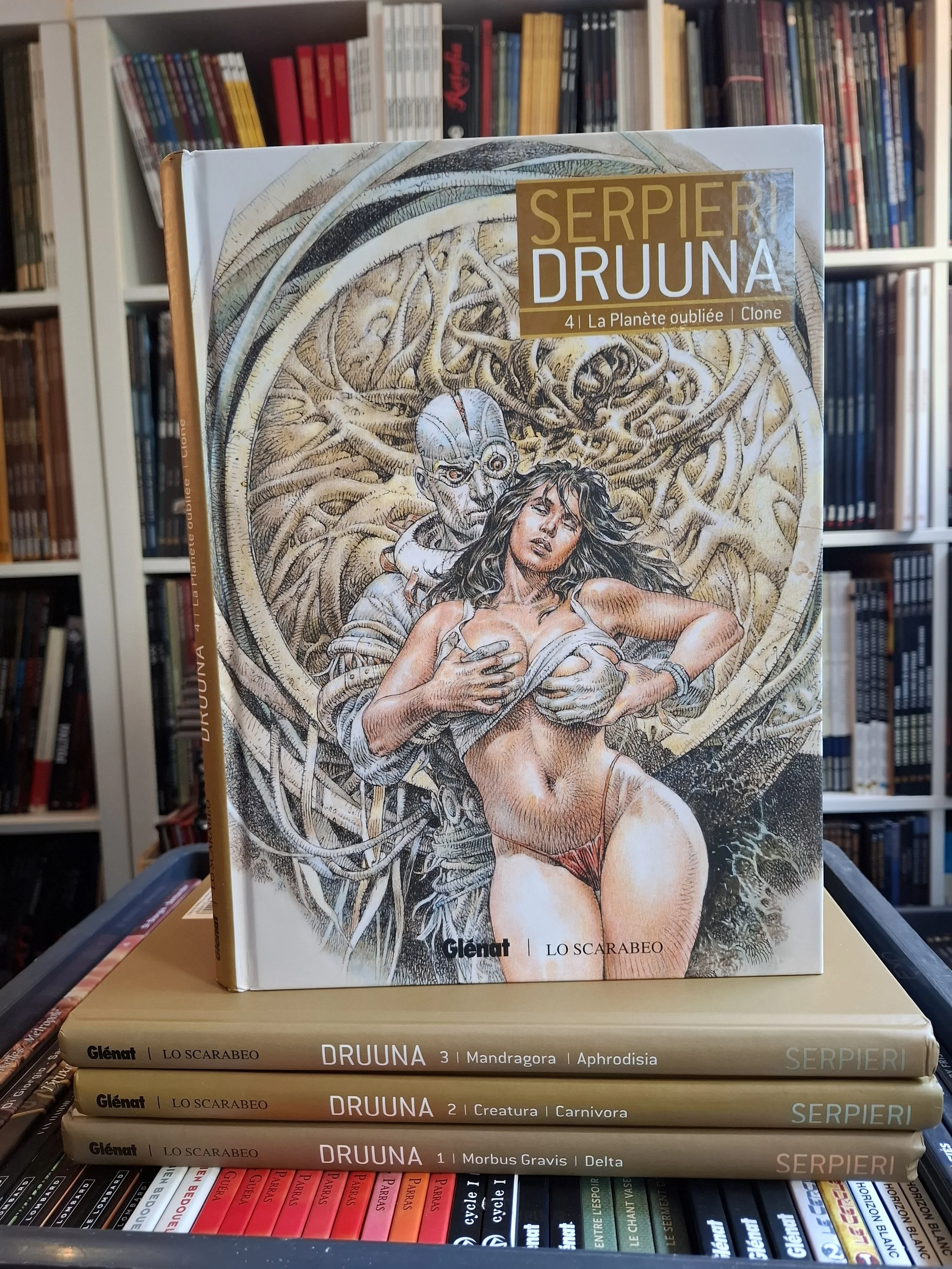 INTEGRALE DRUUNA VOLUMES 1 à 4 SERIE COMPLETE TOMES 1-8