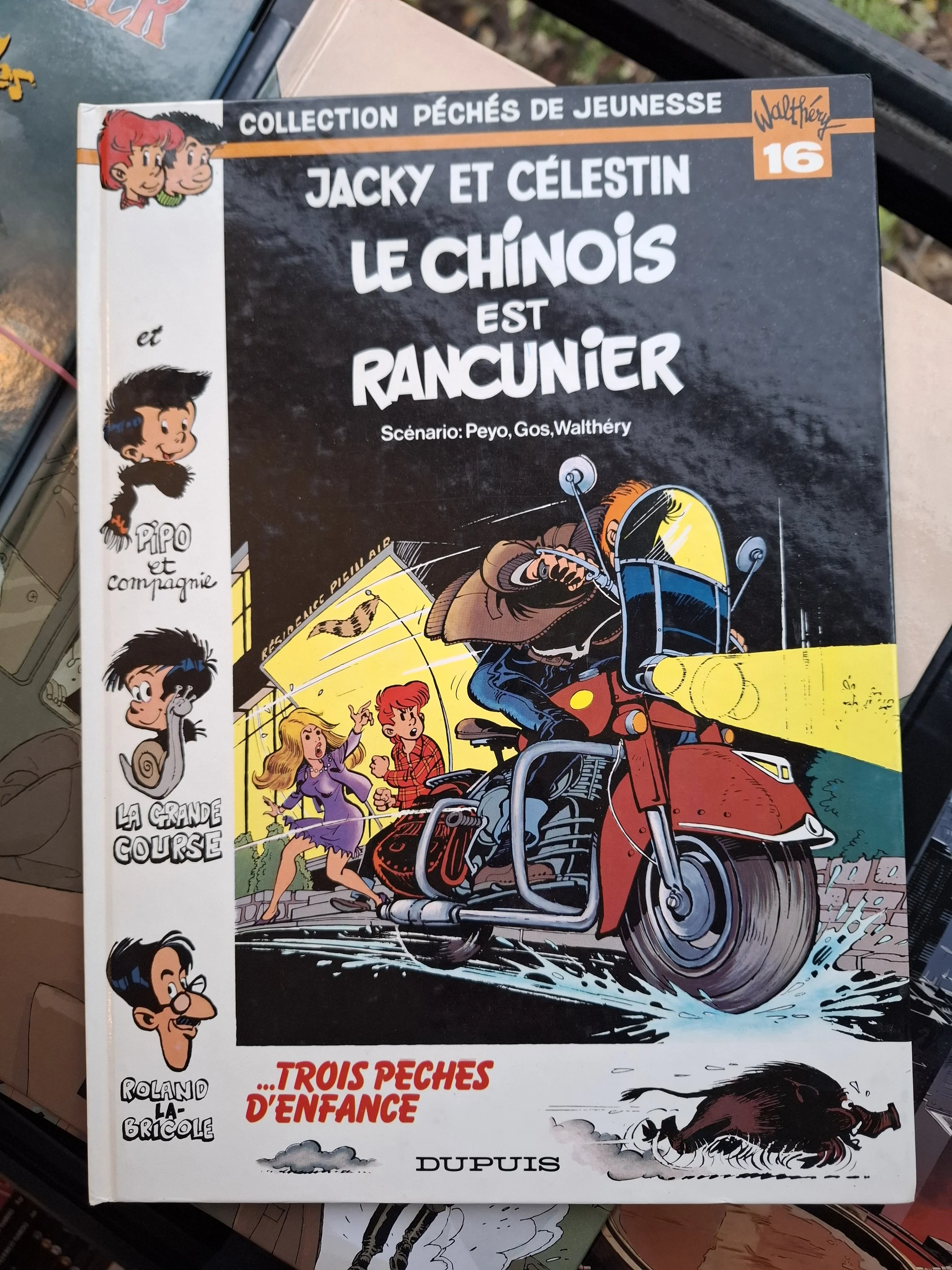 COLLECTION PECHES DE JEUNESSE N°16 WALTHERY JACKY ET CELESTIN