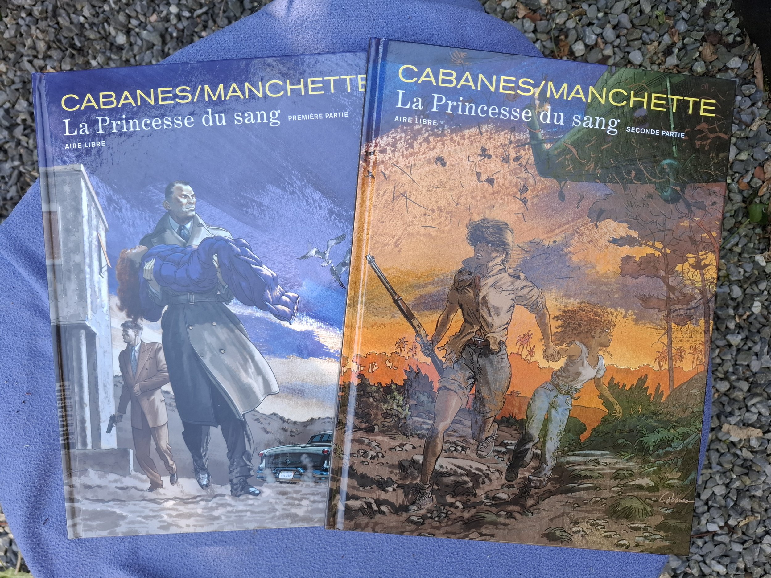 AIRE LIBRE LA PRINCESSE DU SANG TOMES 1 ET 2 SERIE COMPLETE TOUS EO