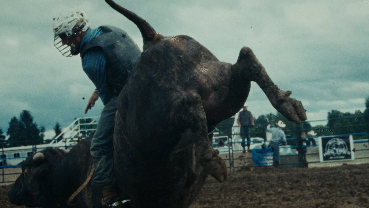 BULL_90_1920x1080_H264_1.gif