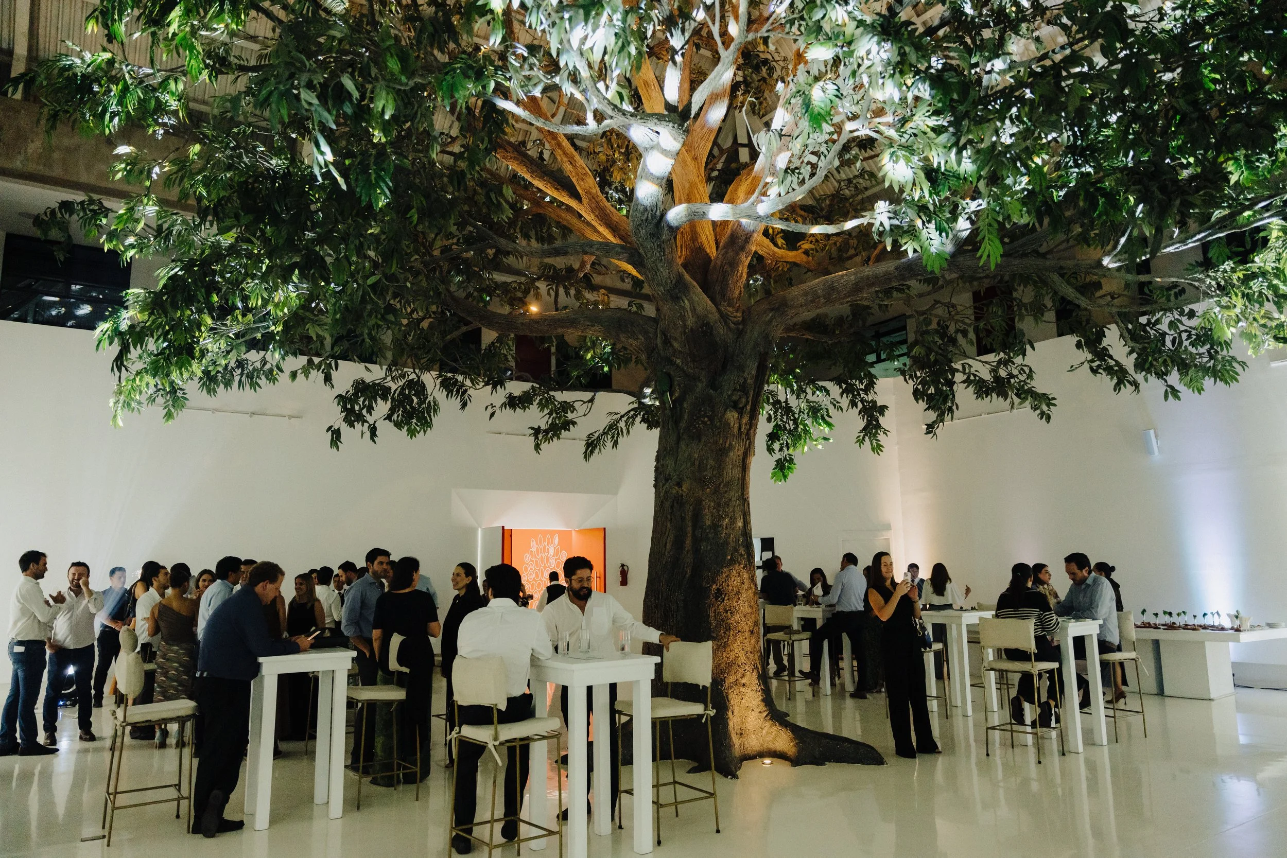 Copy of Evento Mariposa-264.jpg