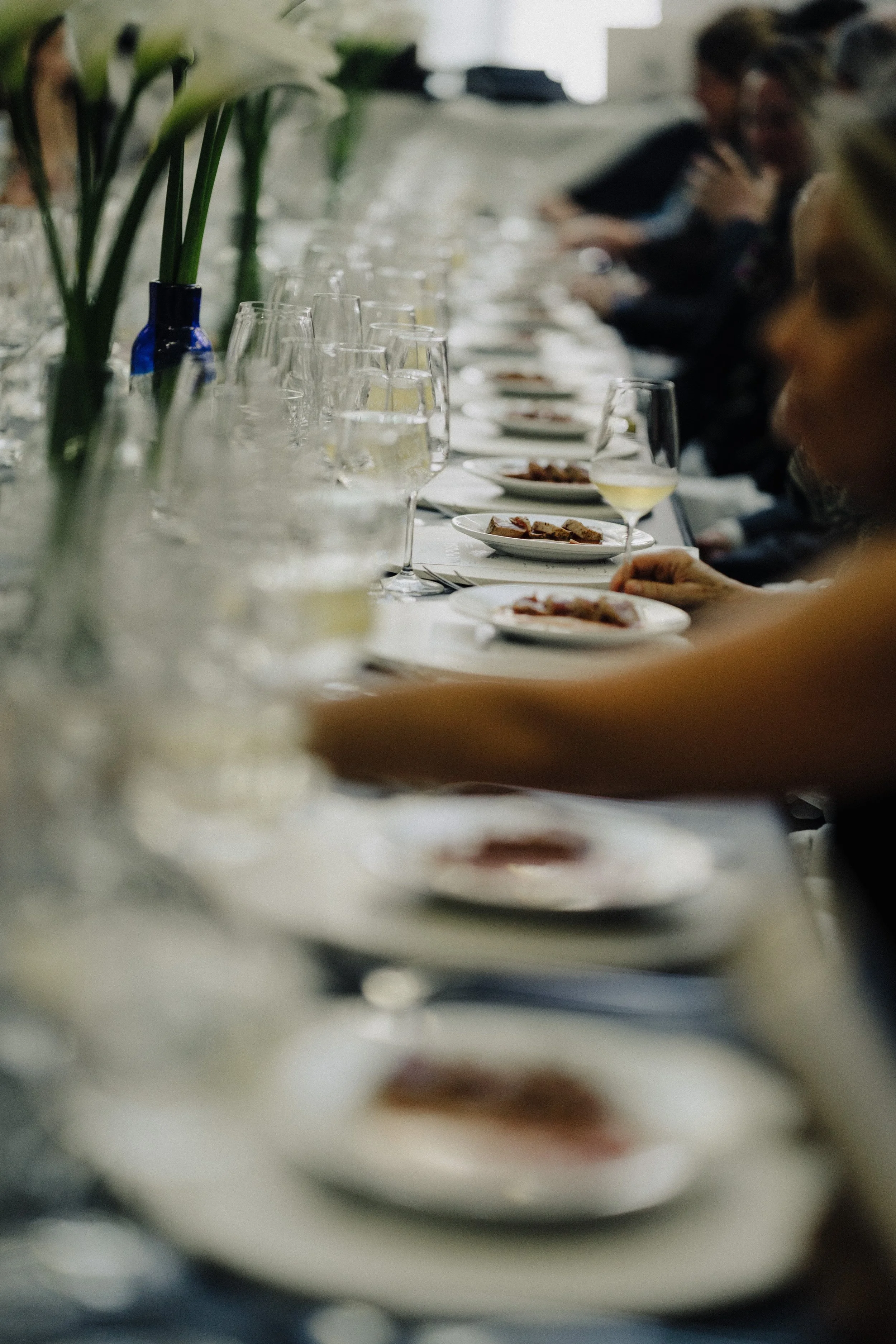Copy of Evento Mariposa-56.jpg