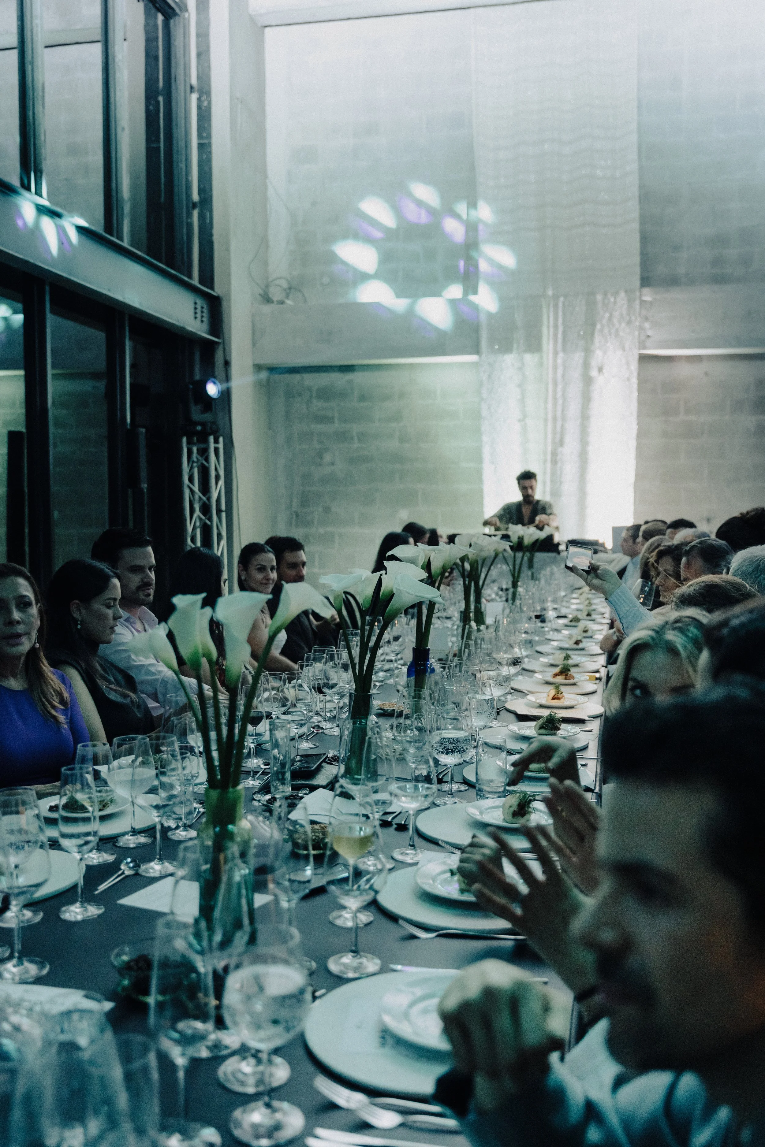 Copy of Evento Mariposa-333.jpg