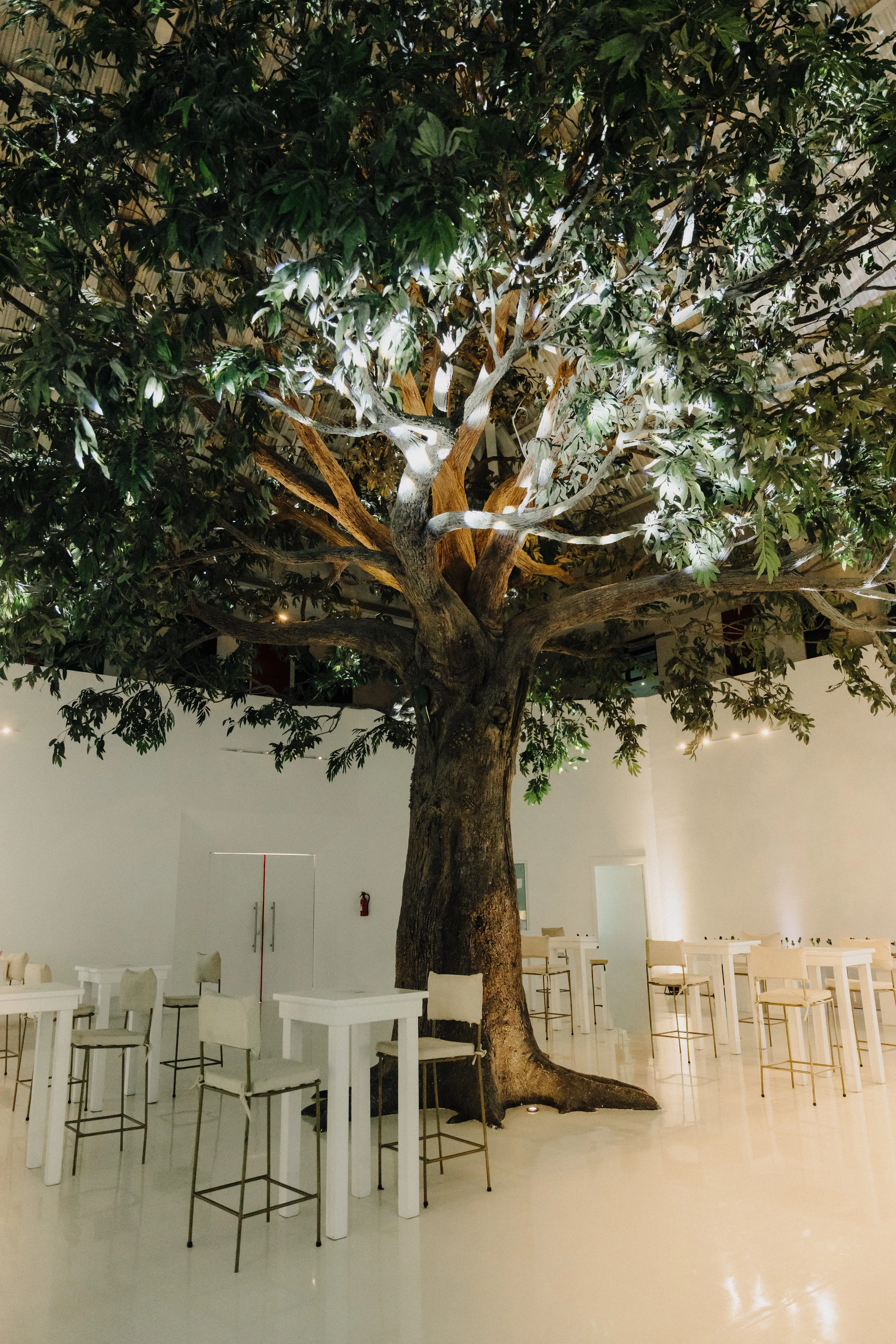 Copy of Evento Mariposa-233.jpg