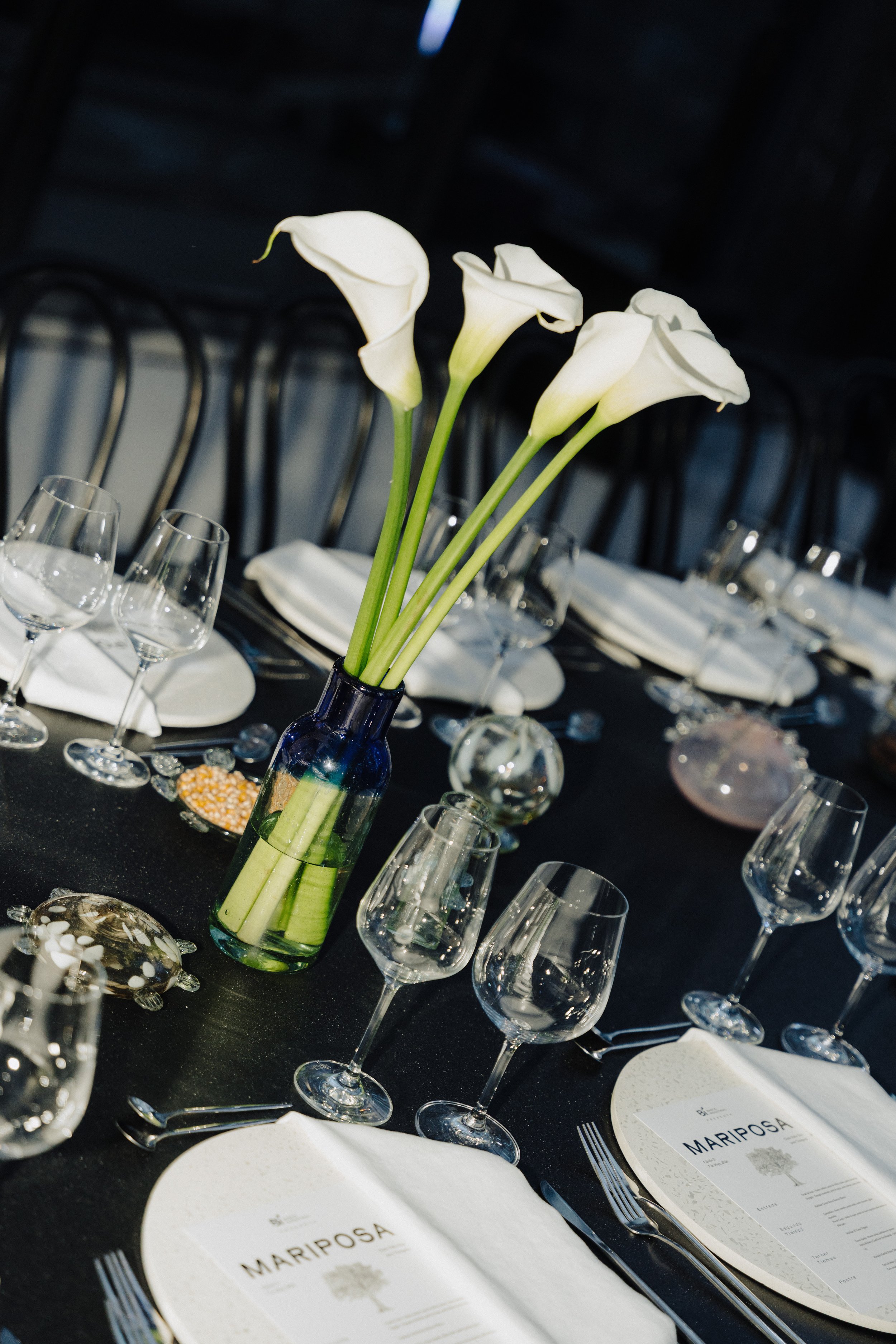 Copy of Evento Mariposa-155.jpg