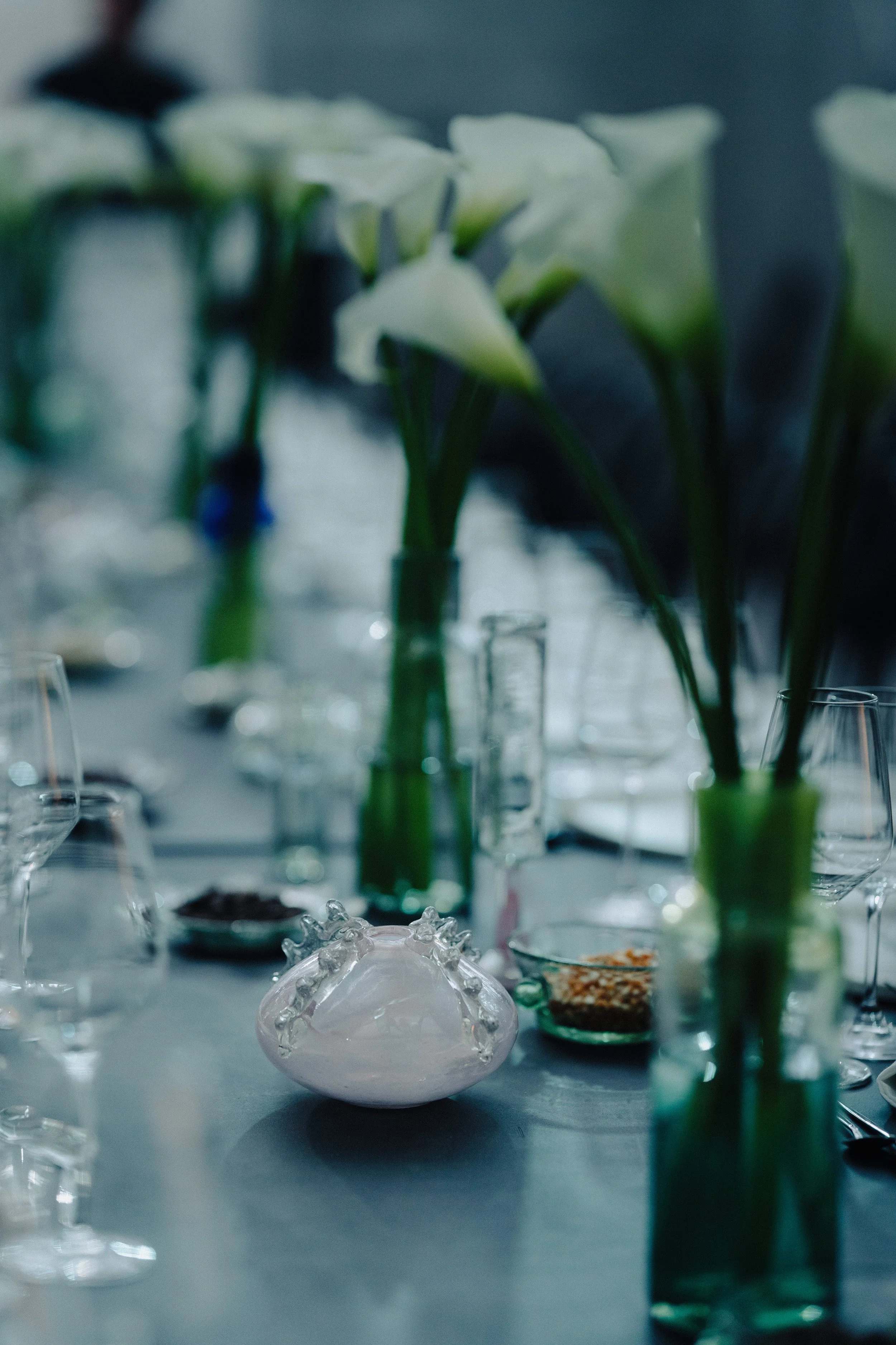 Copy of Evento Mariposa-15.jpg