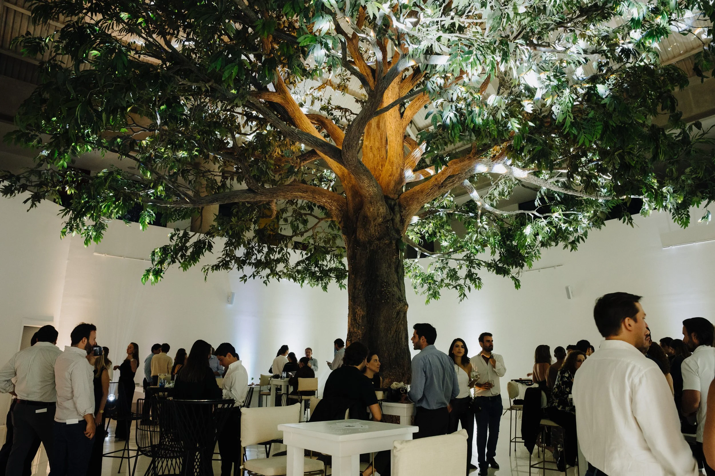 Copy of Evento Mariposa-288.jpg