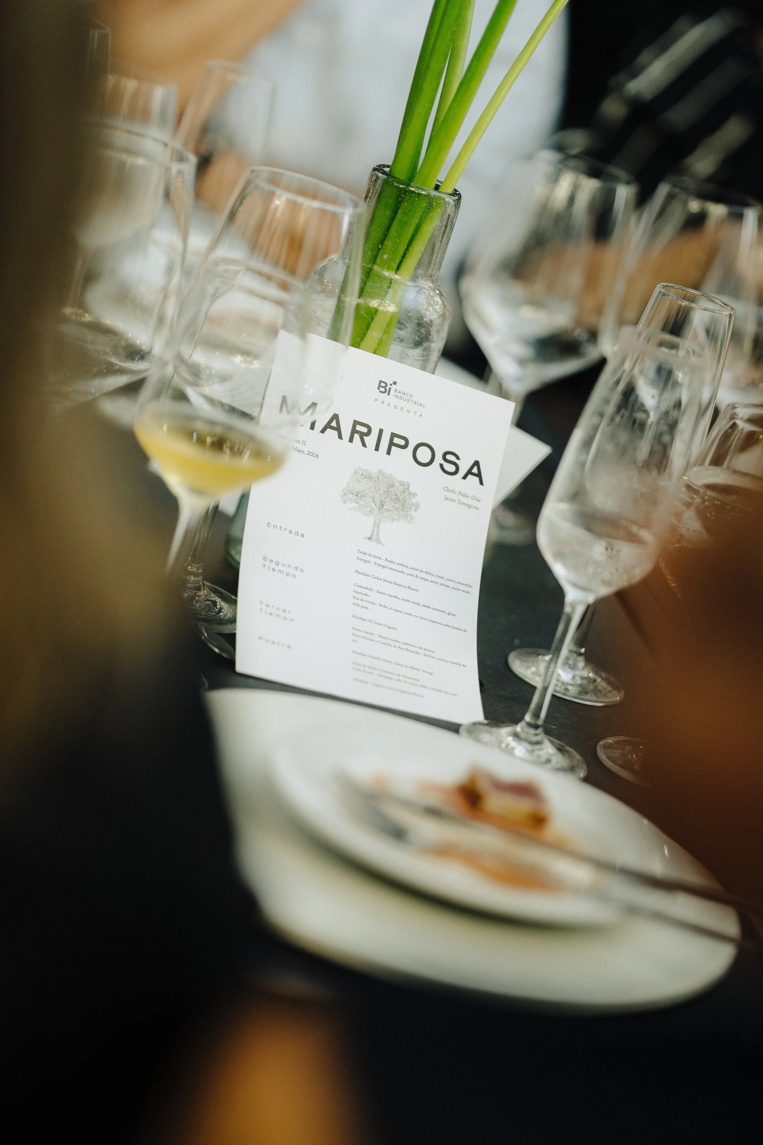 Copy of Evento Mariposa-58.jpg